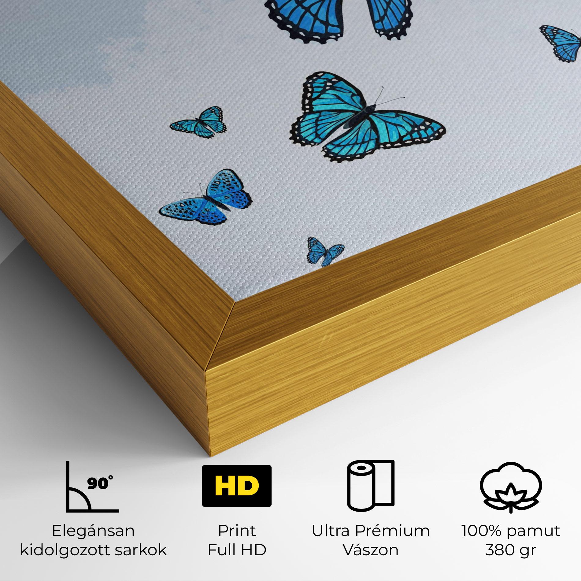Vászonkép Blue Sky Butterfly mockup 4