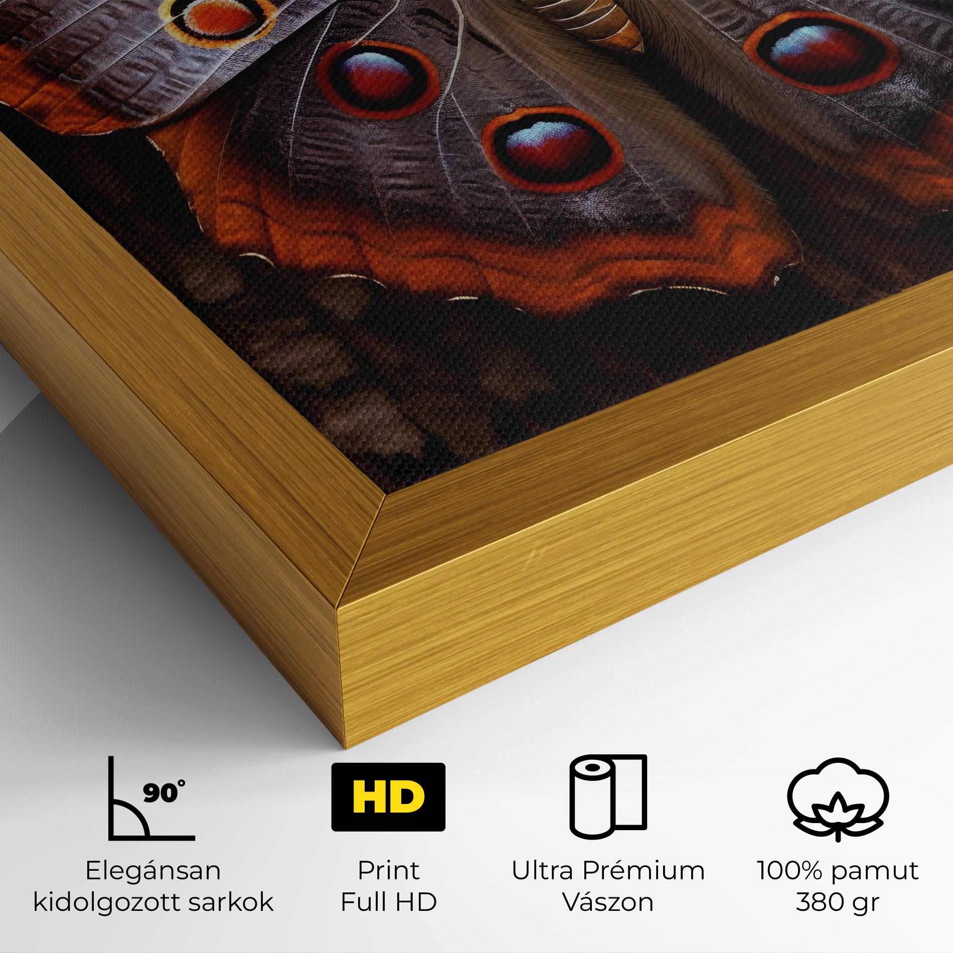 Vászonkép Brown Eyes Butterfly mockup 4