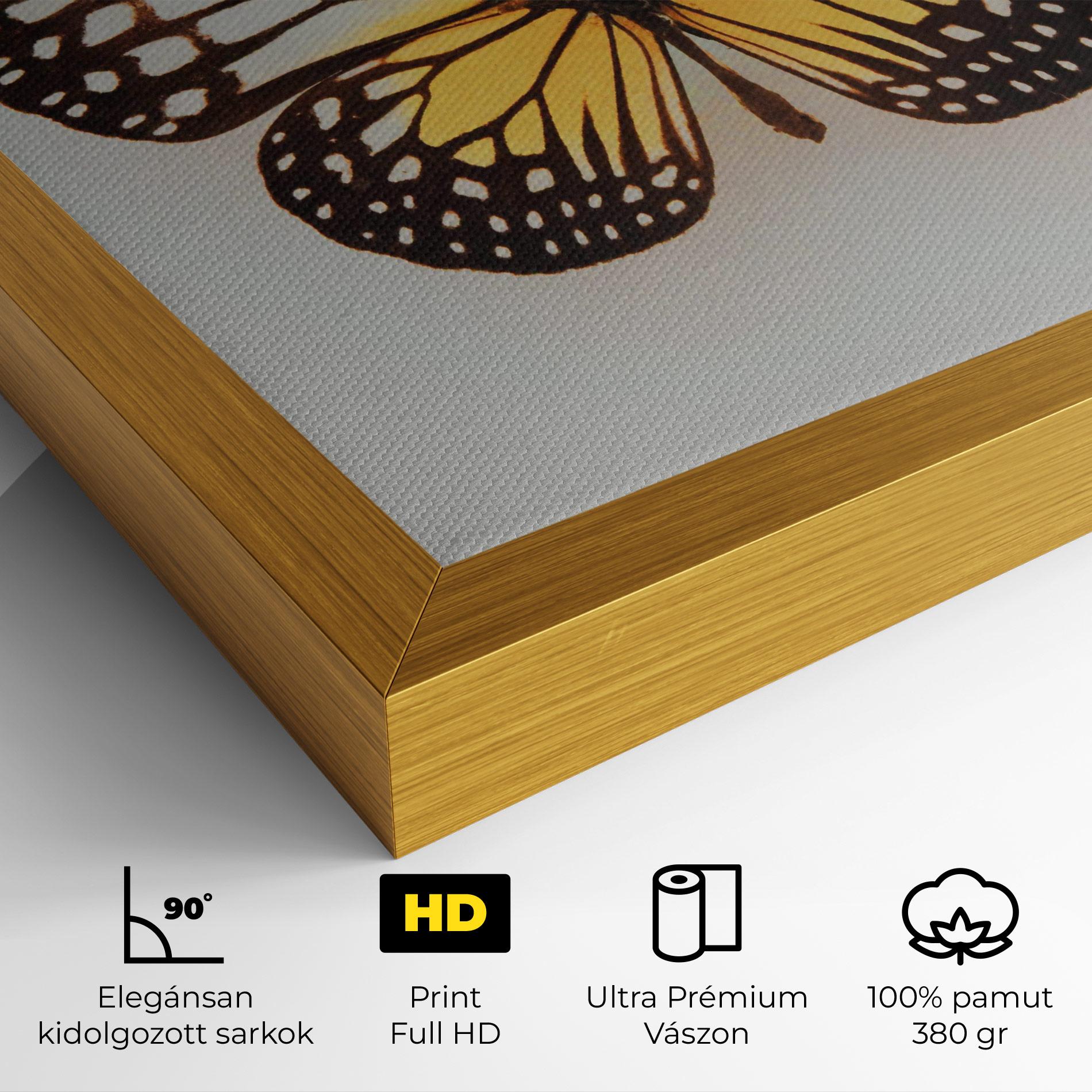 Vászonkép Butterfly On Grey mockup 4