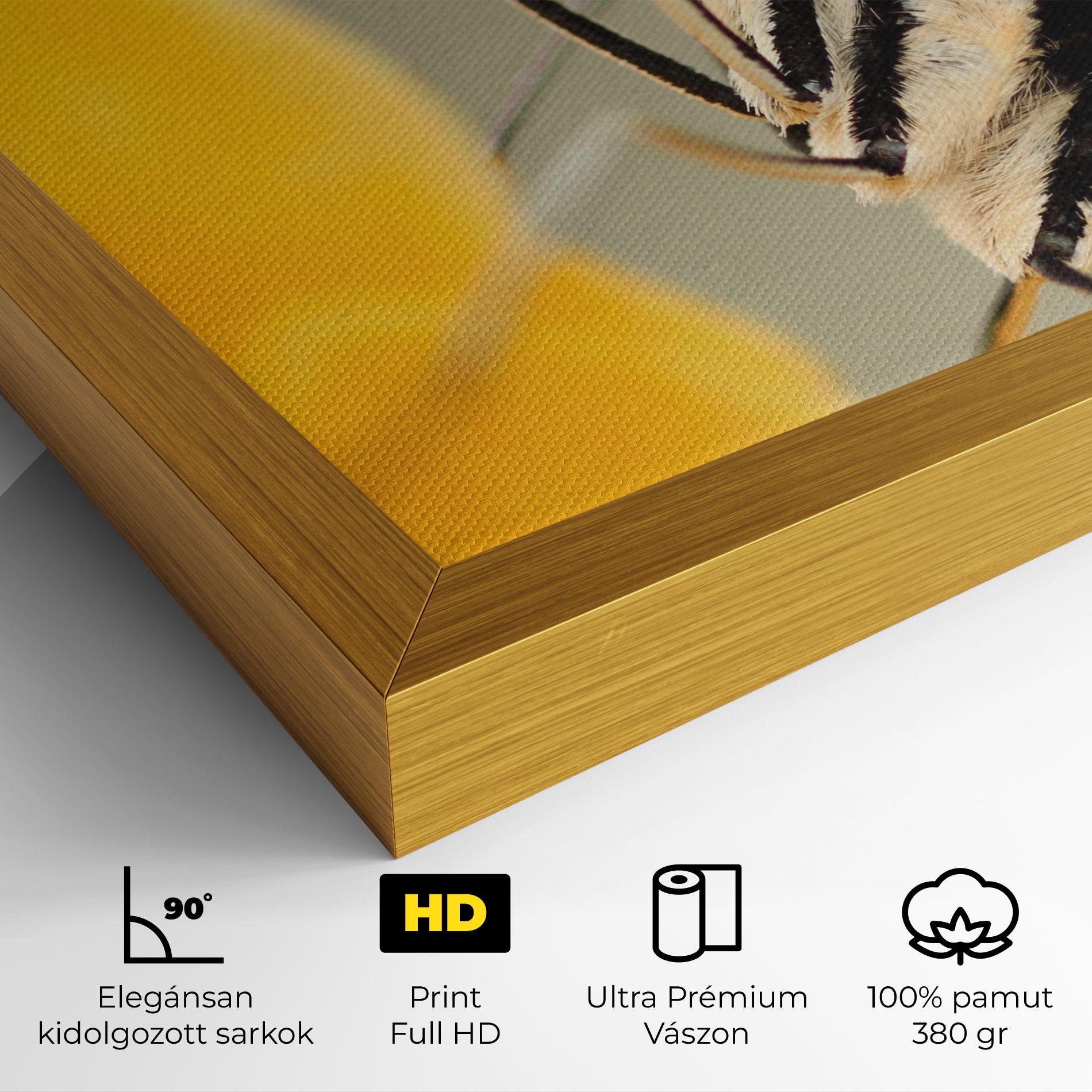 Vászonkép Close Up Cream Butterfly mockup 4