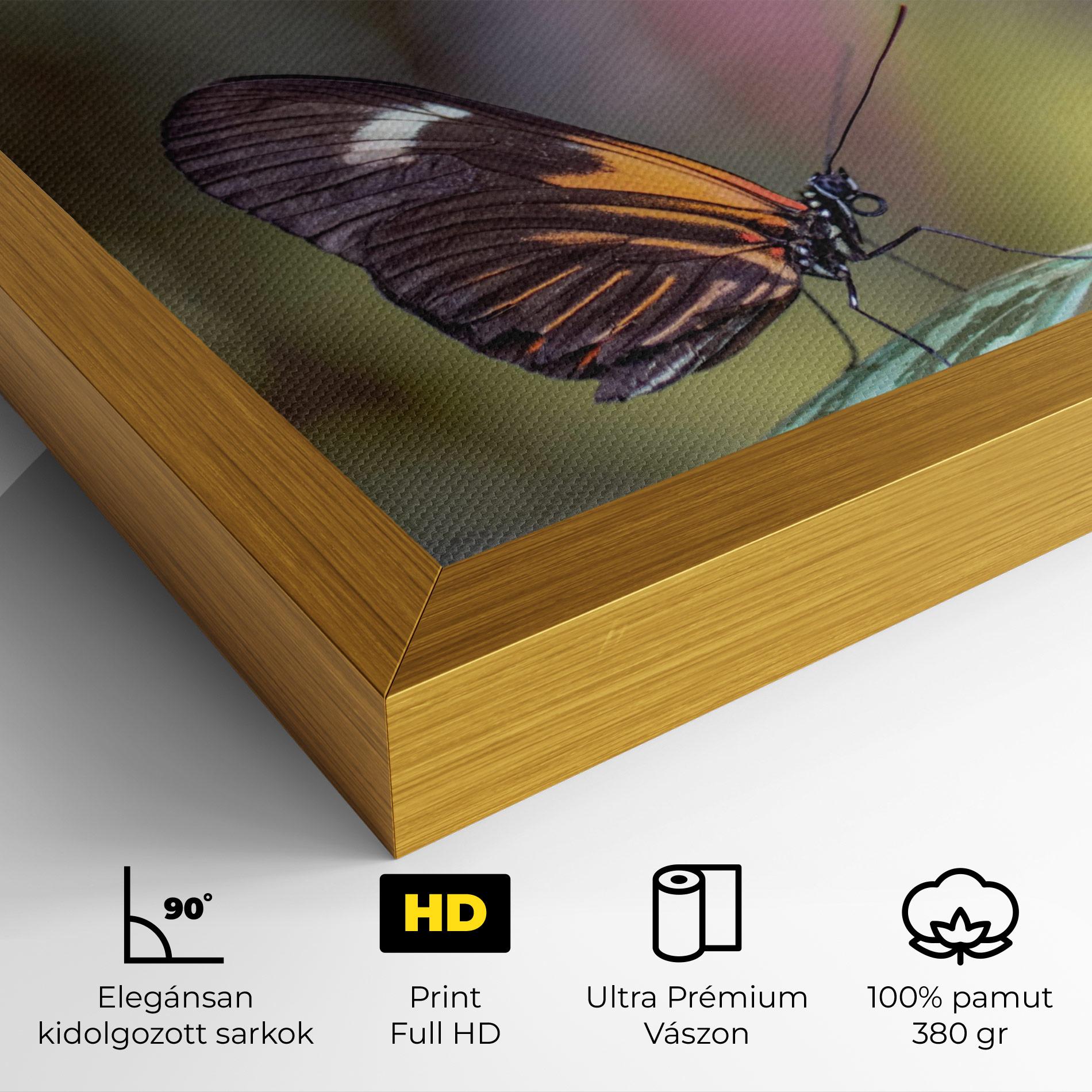 Vászonkép Dark Purple Butterfly mockup 4