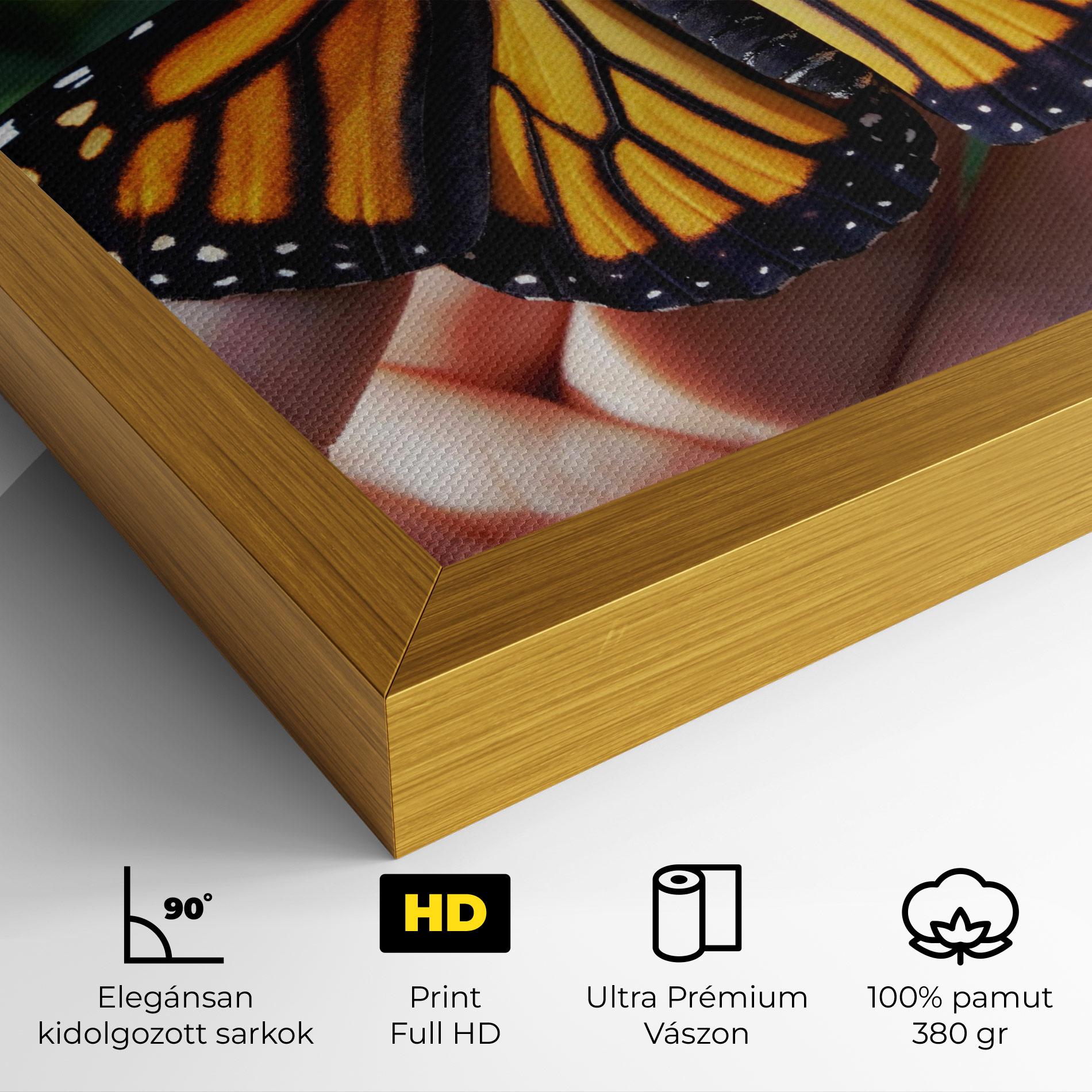 Vászonkép Open Orange Butterfly mockup 4