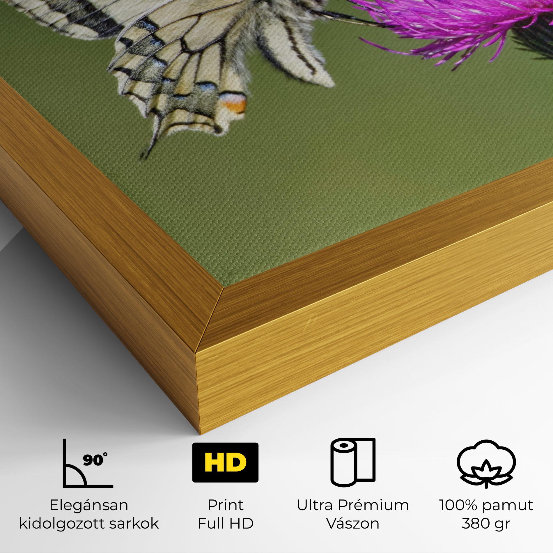 Vászonkép White Butterfly Pollen mockup 4