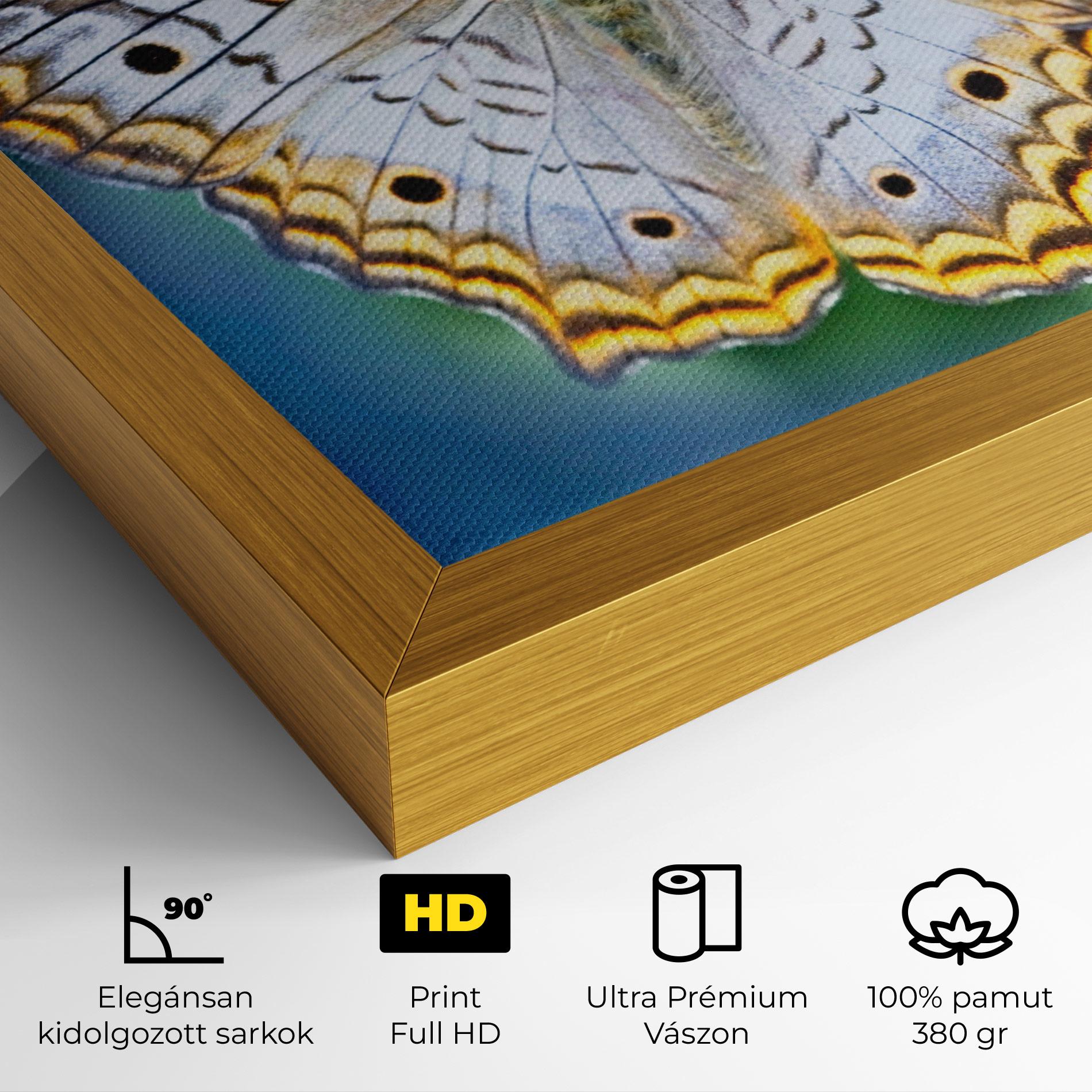 Vászonkép Yellow Grey Butterfly mockup 4