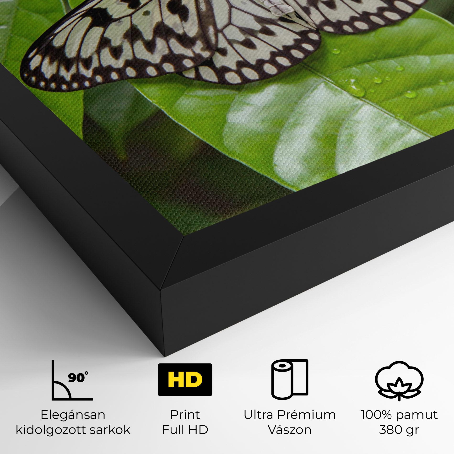 Vászonkép Beautiful White Butterfly mockup 4