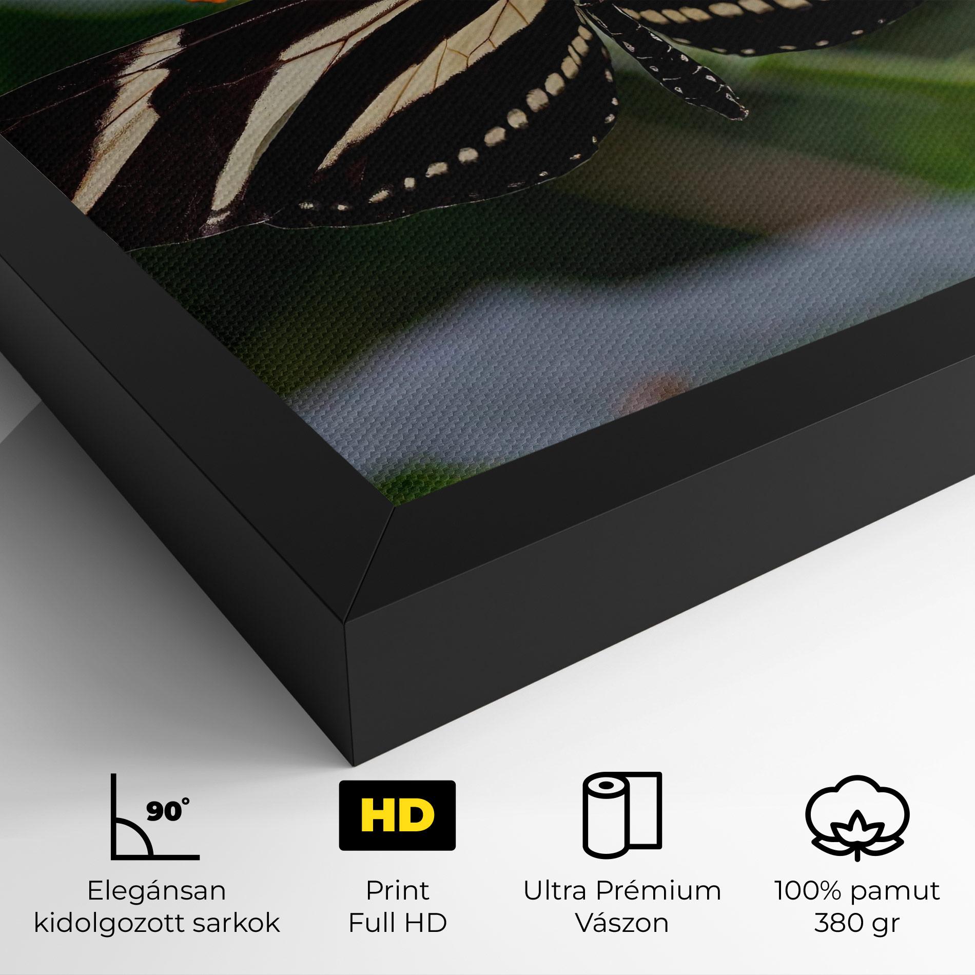 Vászonkép Big Wings Butterfly mockup 4