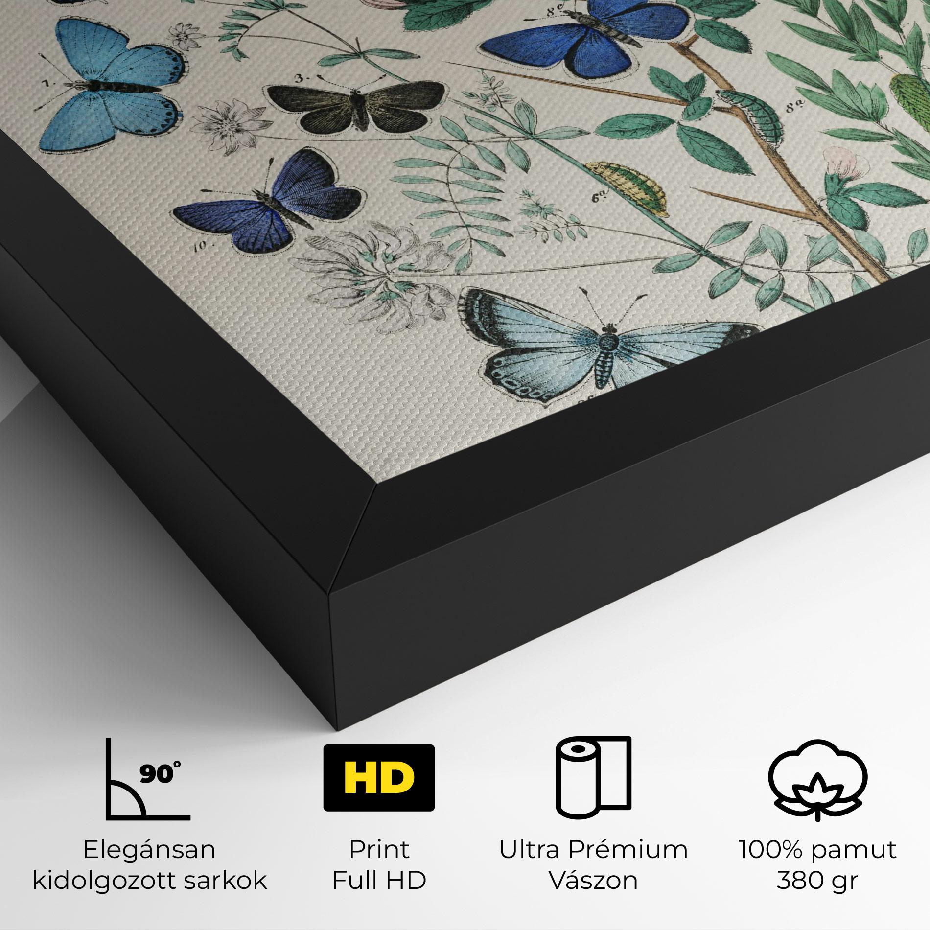 Vászonkép Blue Orange Butterflies mockup 4