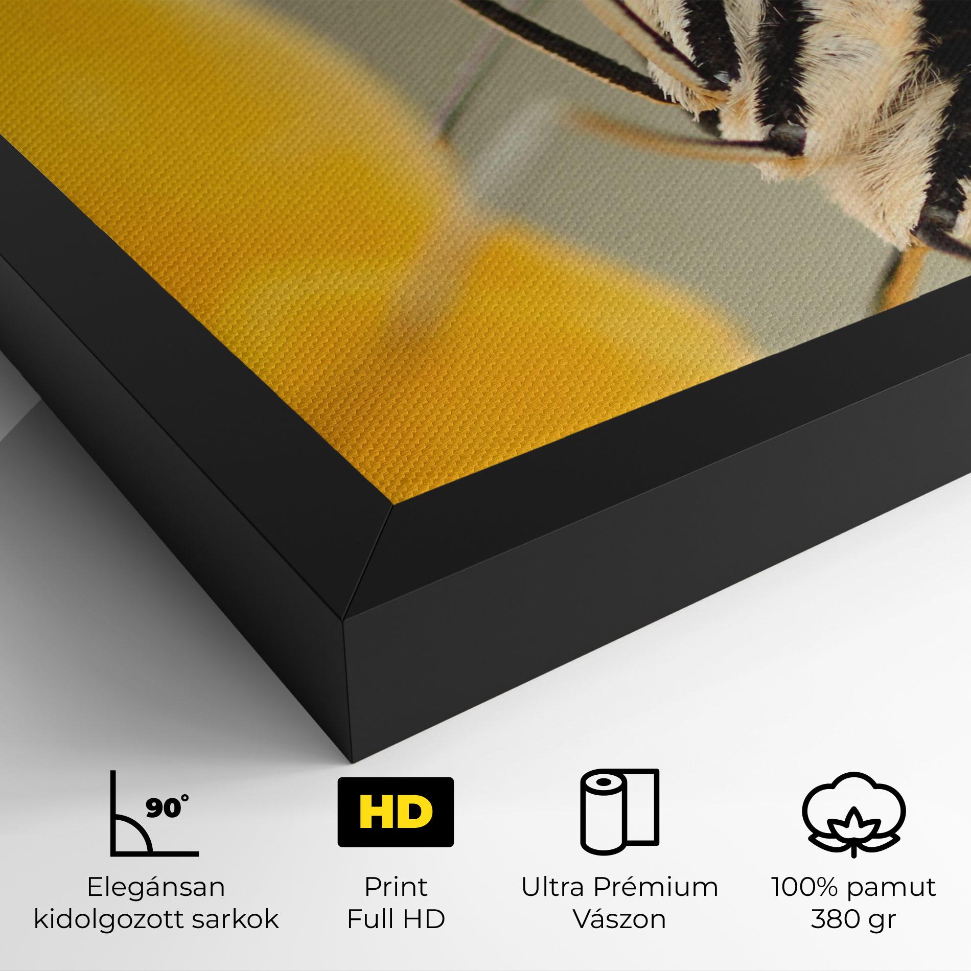 Vászonkép Close Up Cream Butterfly mockup 4