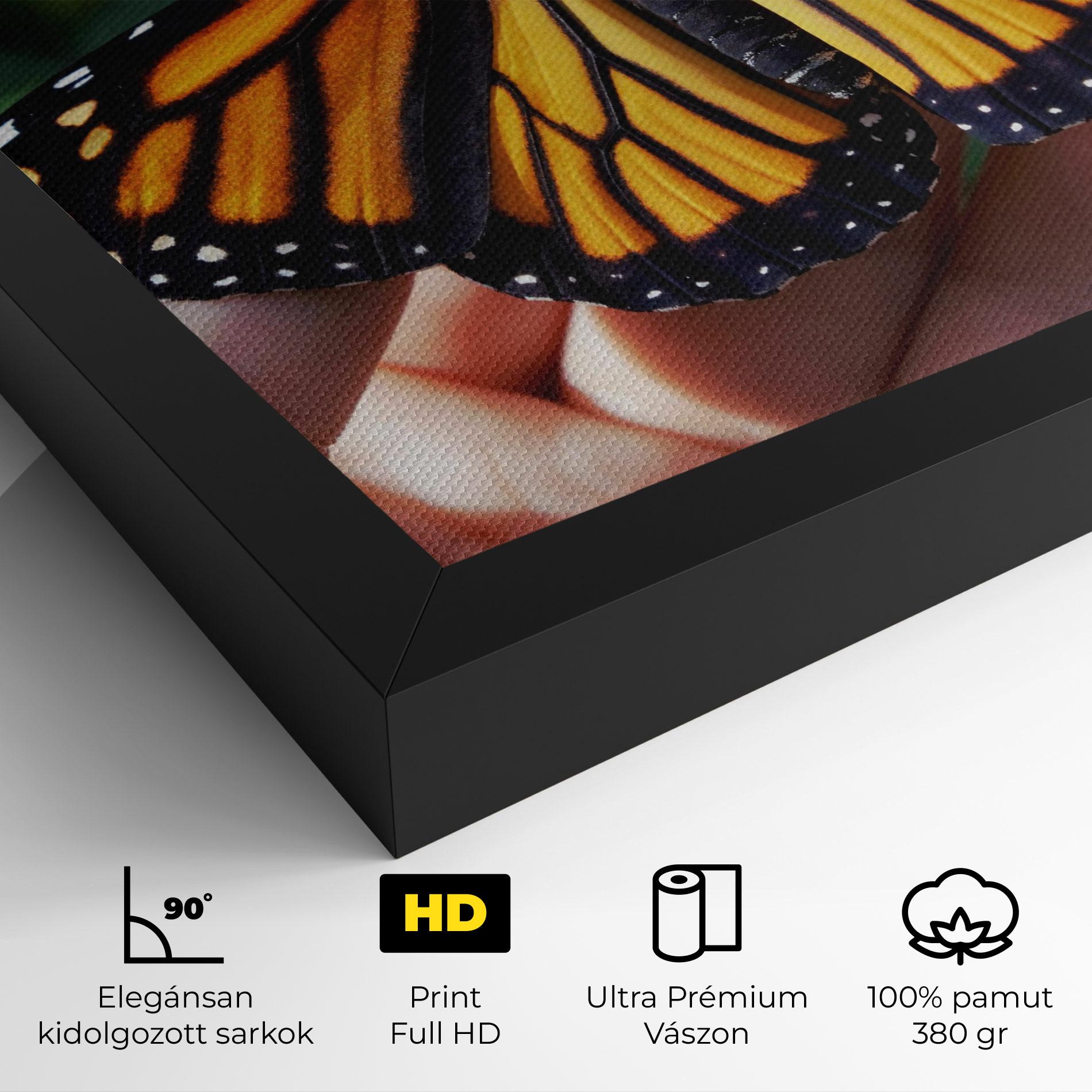 Vászonkép Open Orange Butterfly mockup 4