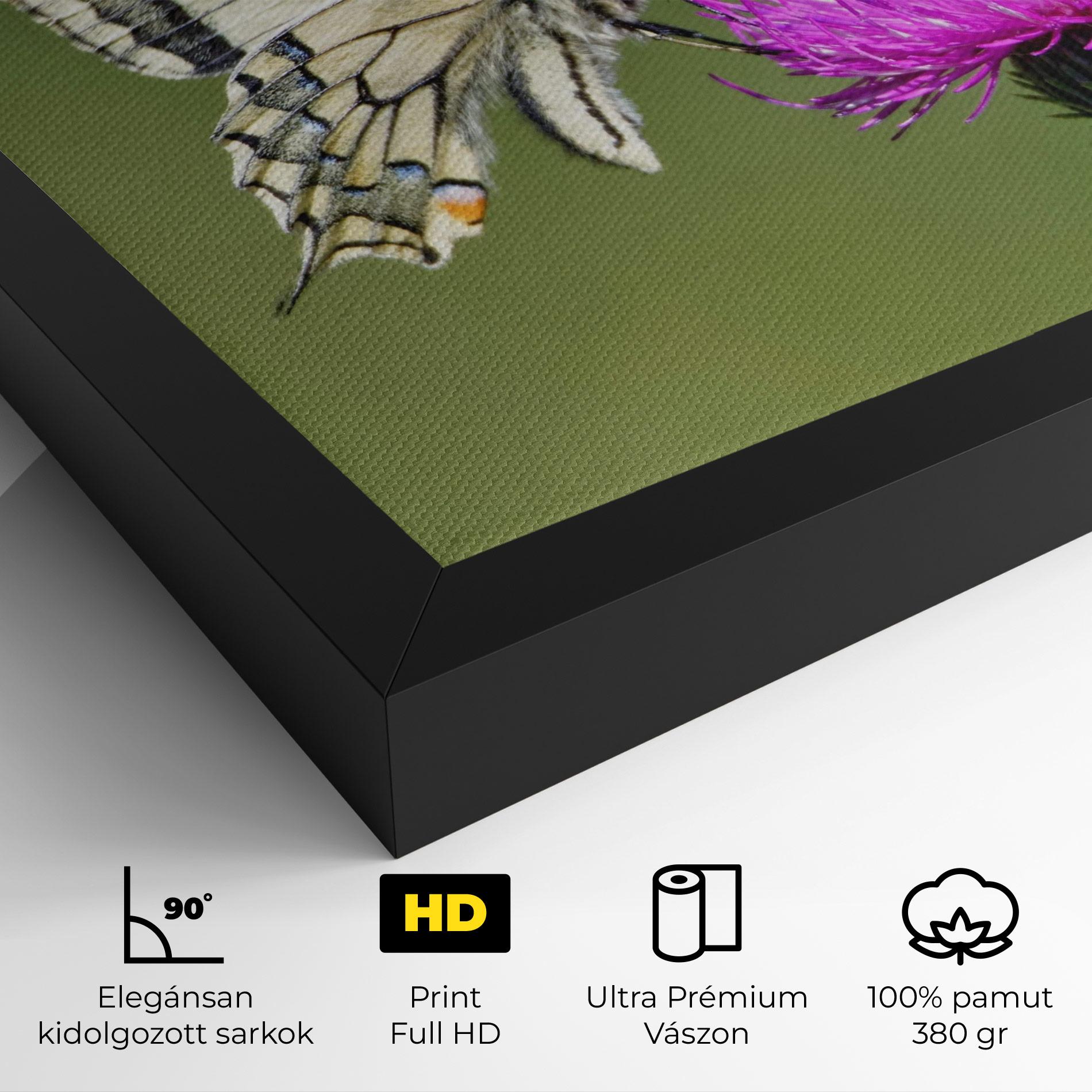 Vászonkép White Butterfly Pollen mockup 4