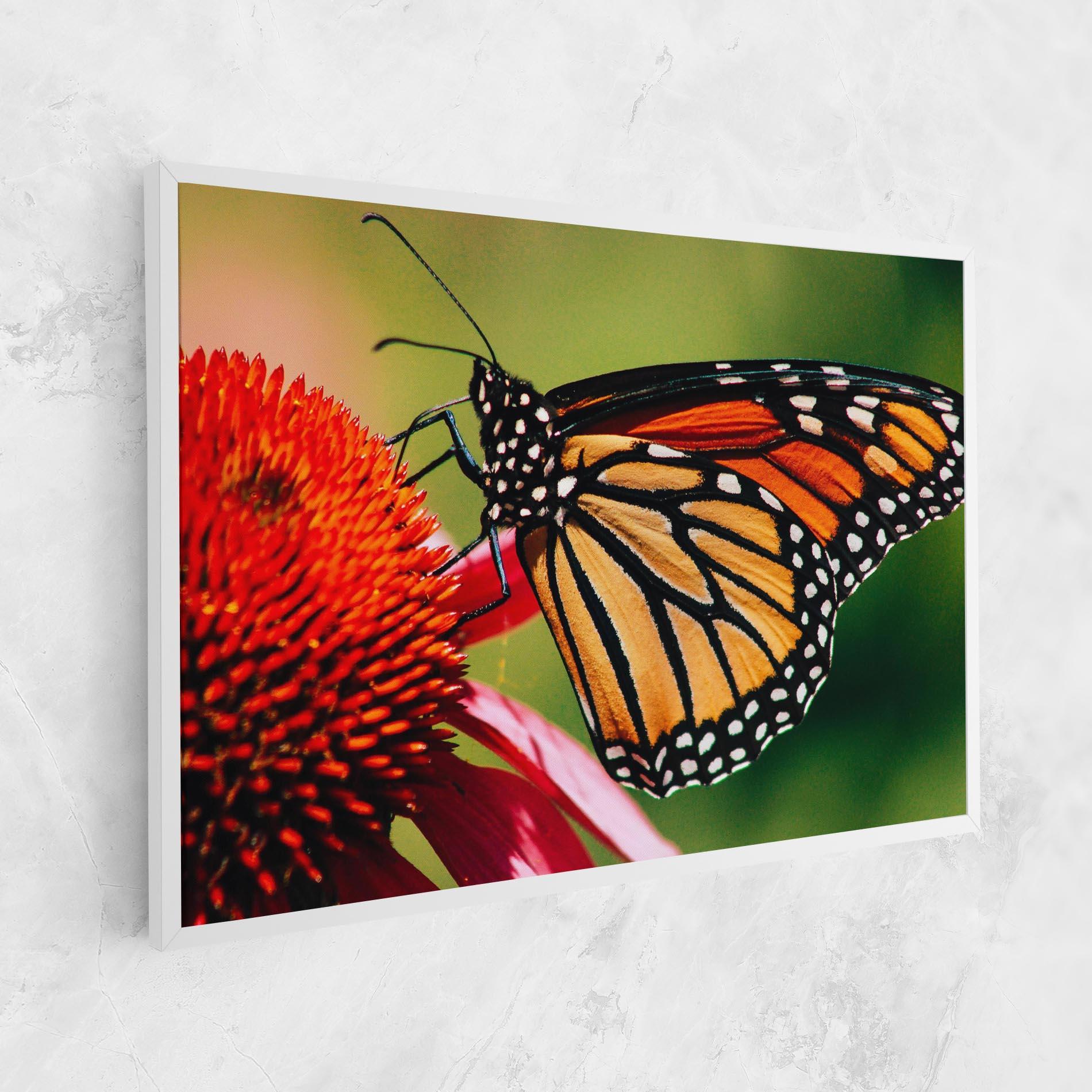 Vászonkép Big Orange Butterfly mockup 1