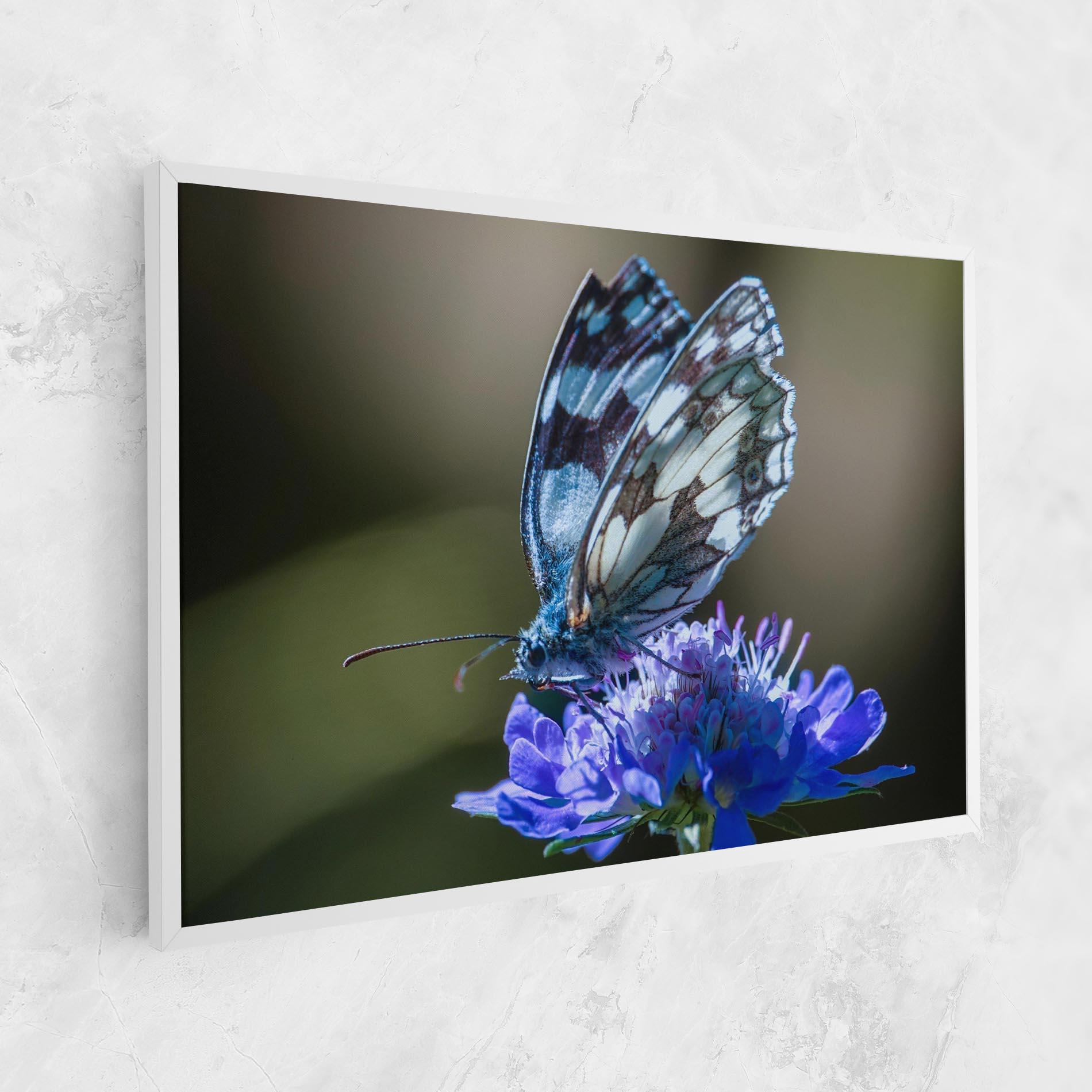 Vászonkép Blue Butterfly In Nature mockup 1