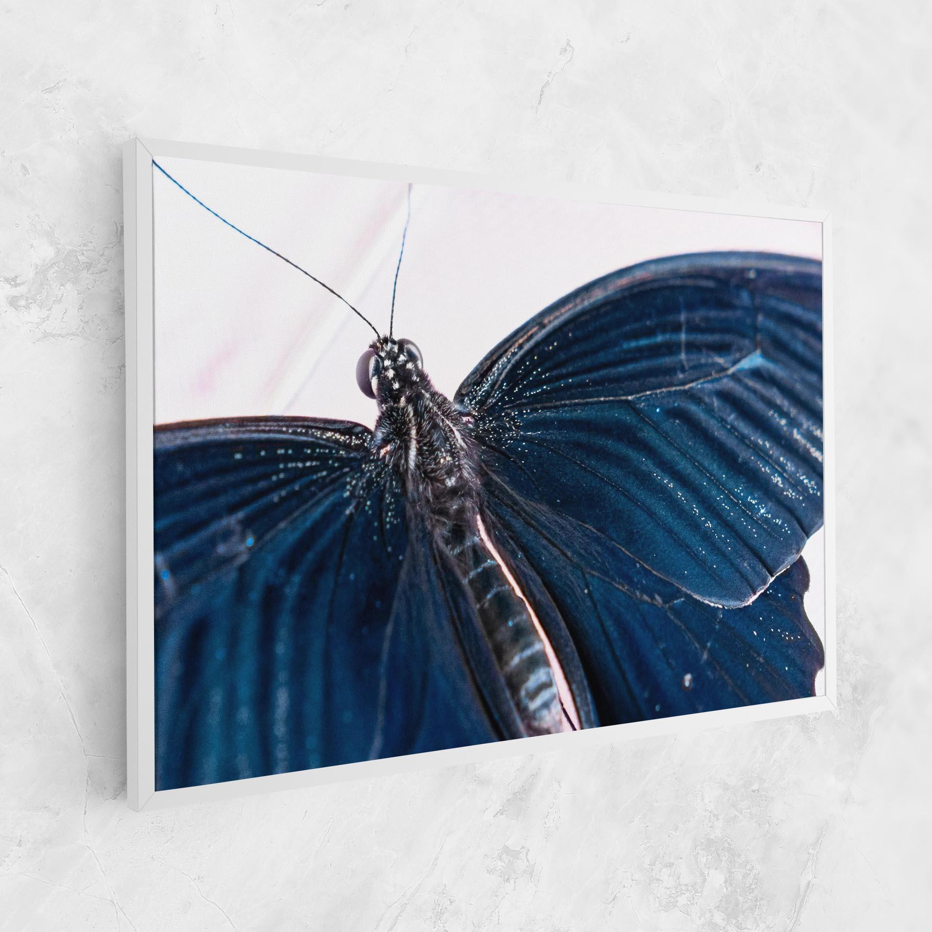 Vászonkép Blue Butterfly mockup 1