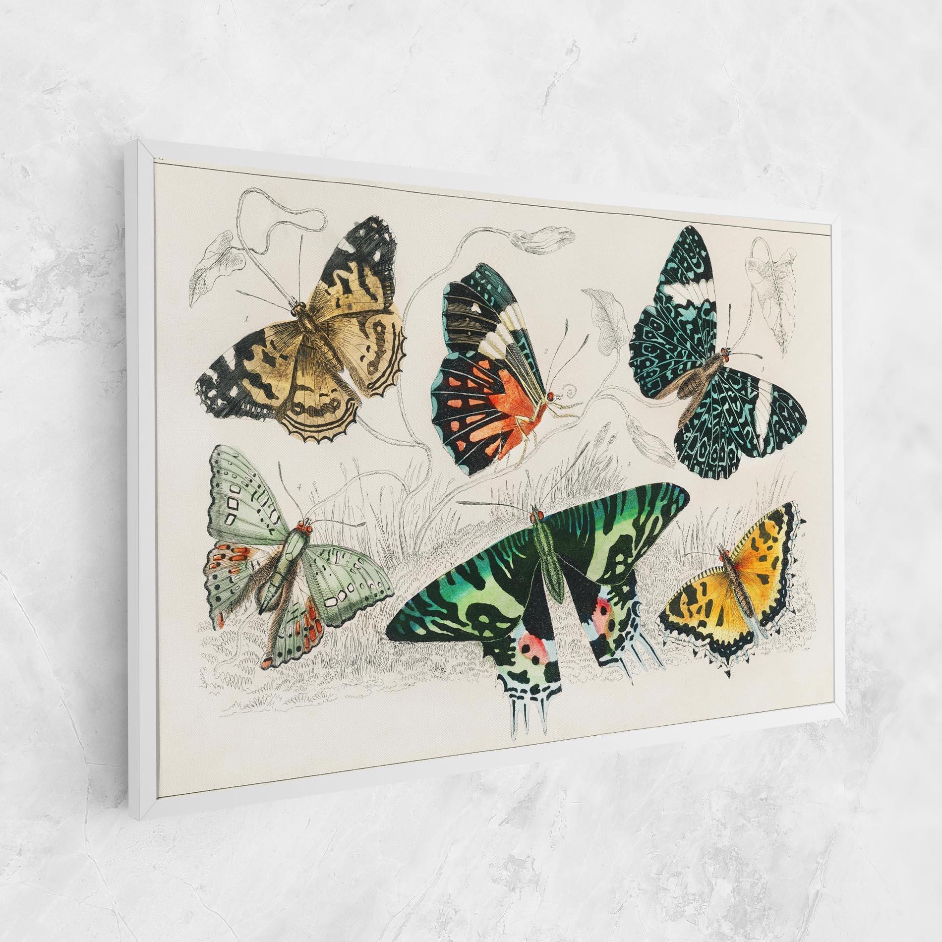 Vászonkép Butterfly Art mockup 1