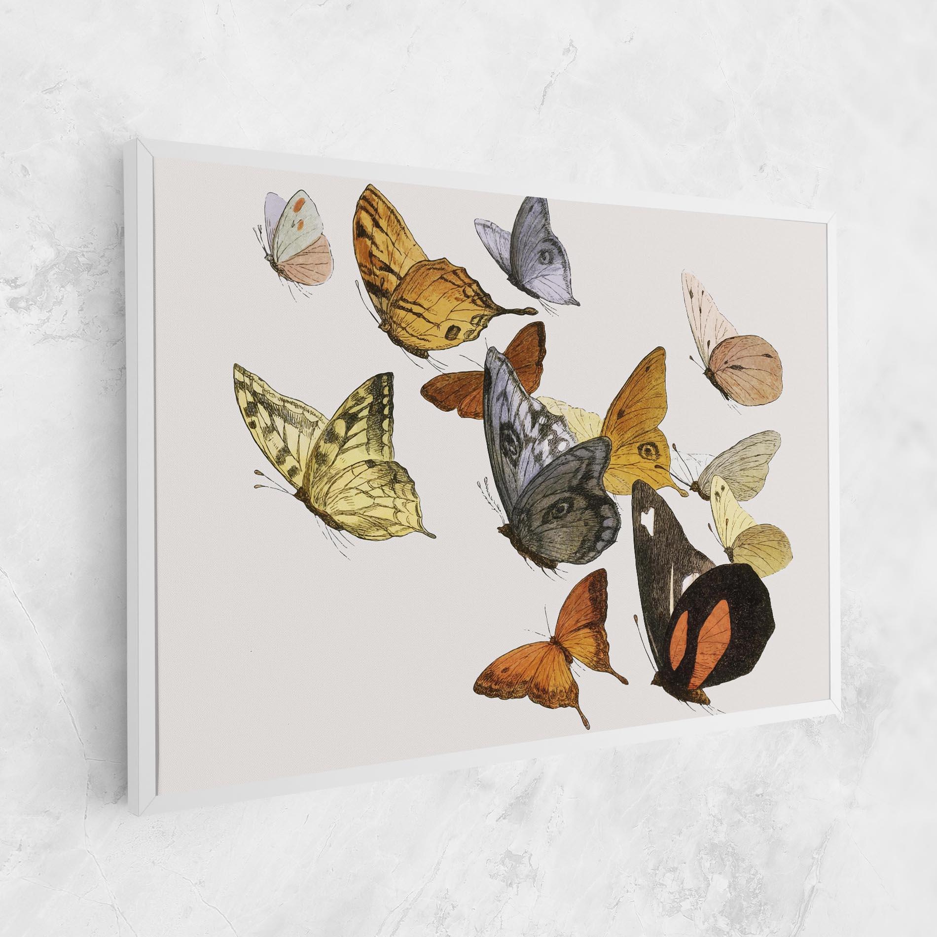 Vászonkép Butterfly Floating mockup 1