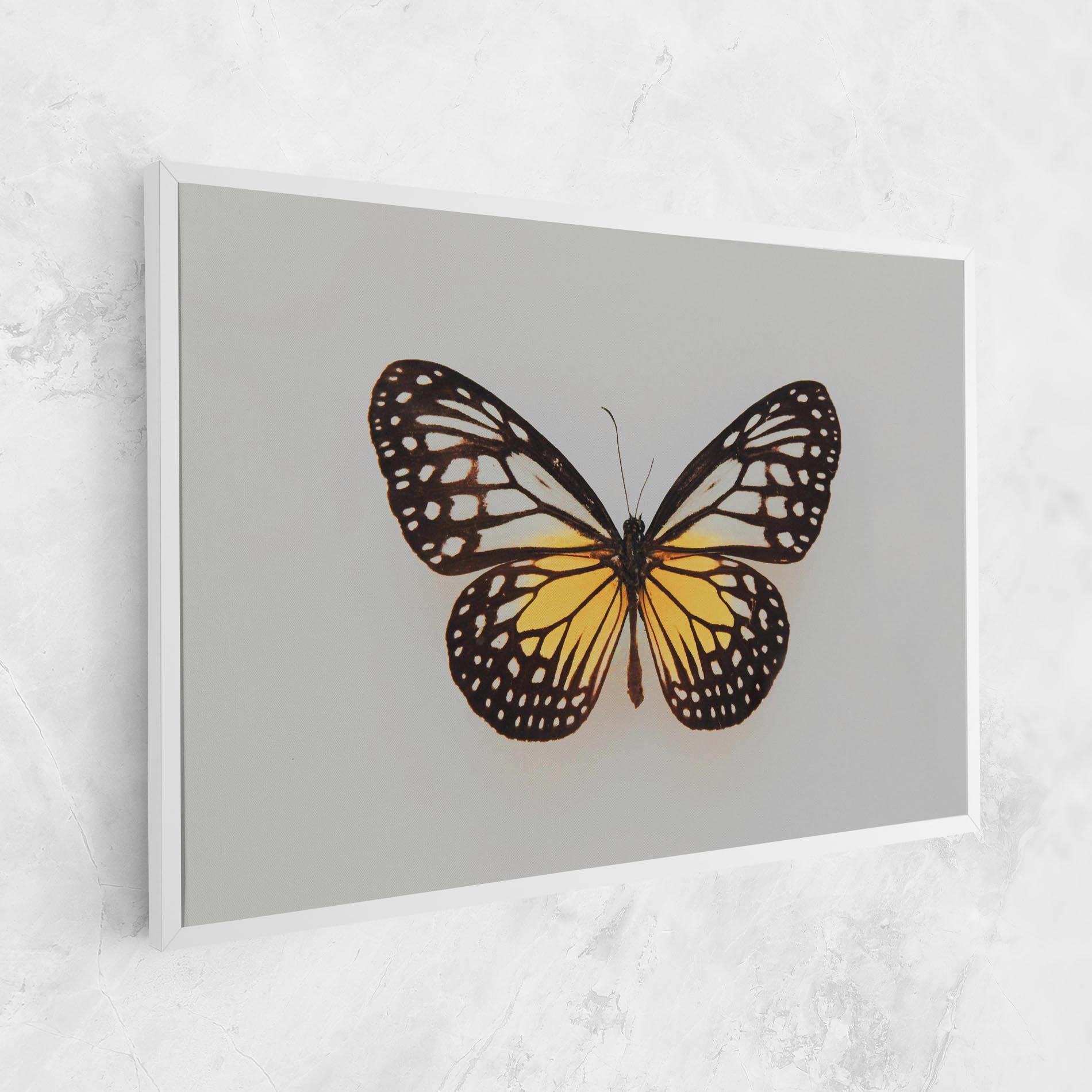 Vászonkép Butterfly On Grey mockup 1
