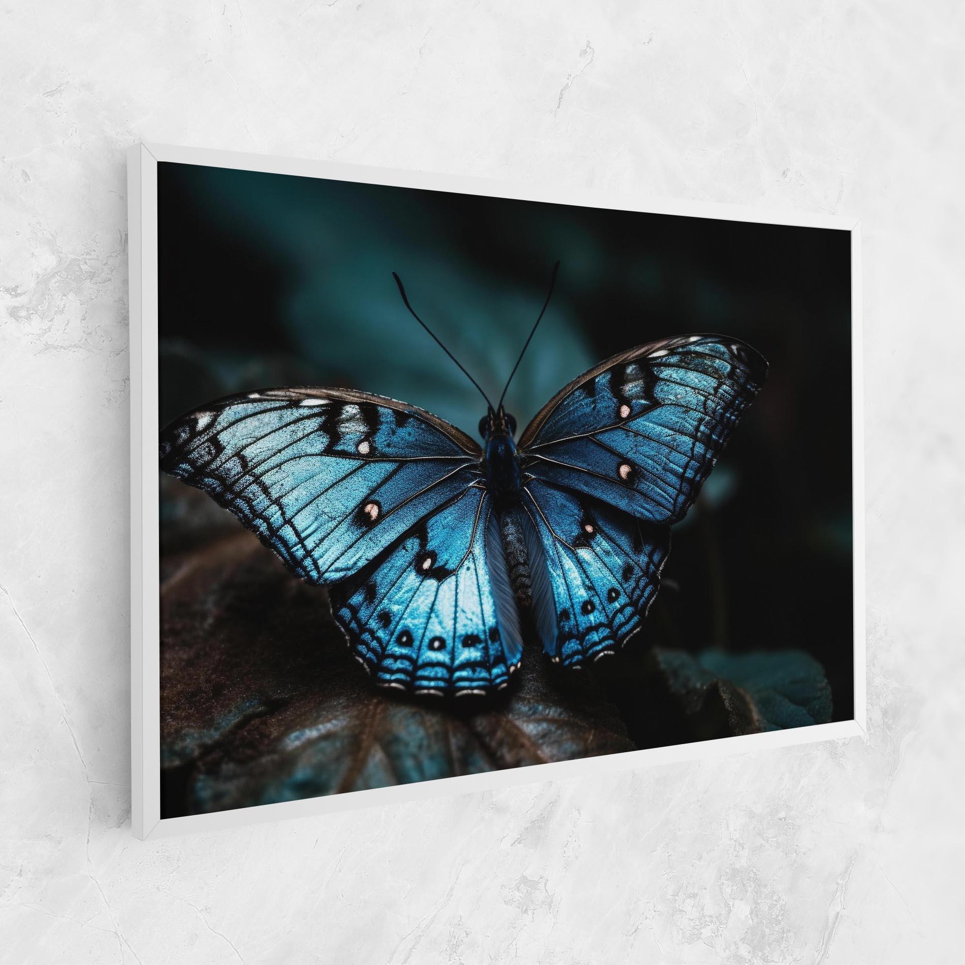 Vászonkép Dark Blue Buterfly mockup 1