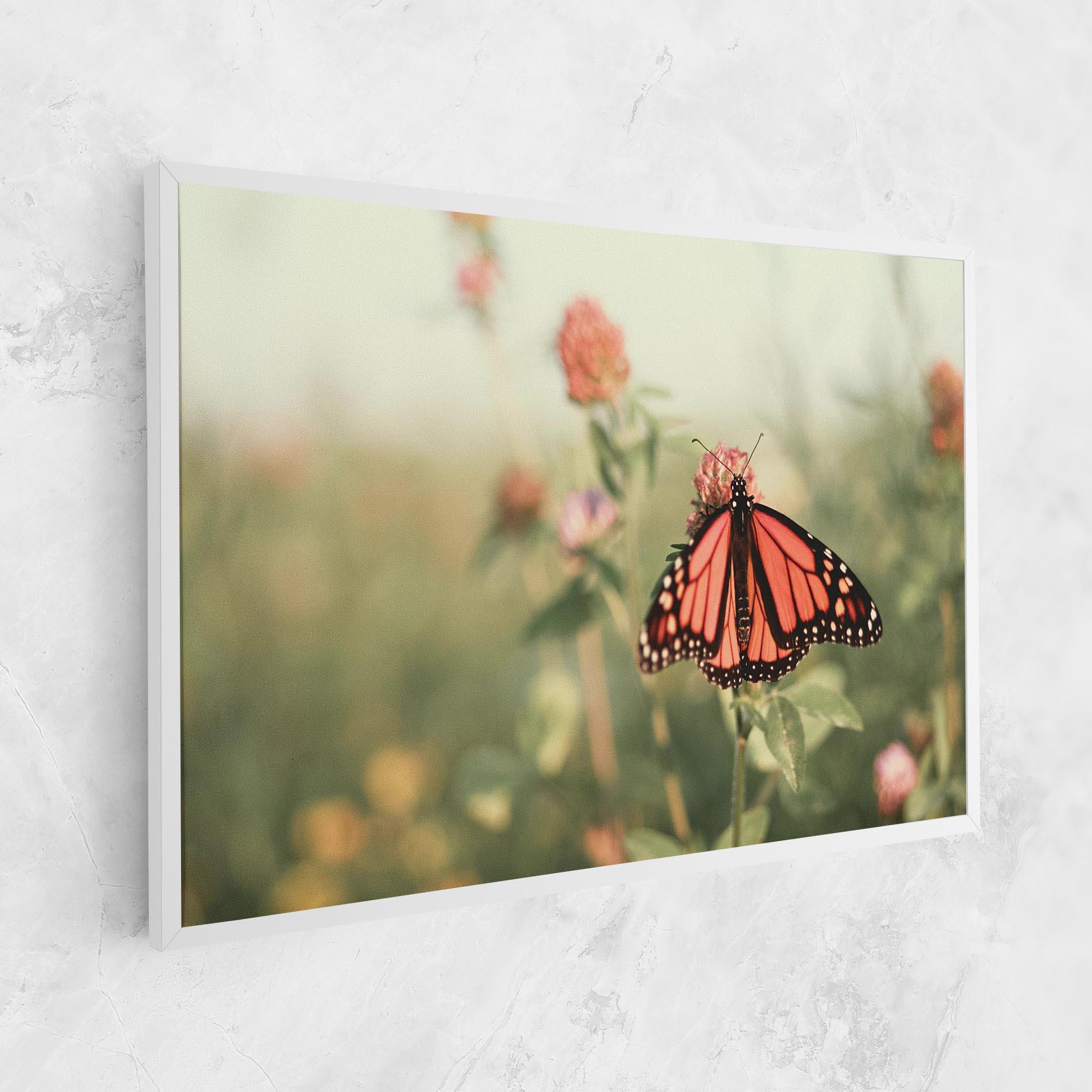 Vászonkép Light Red Butterfly mockup 1