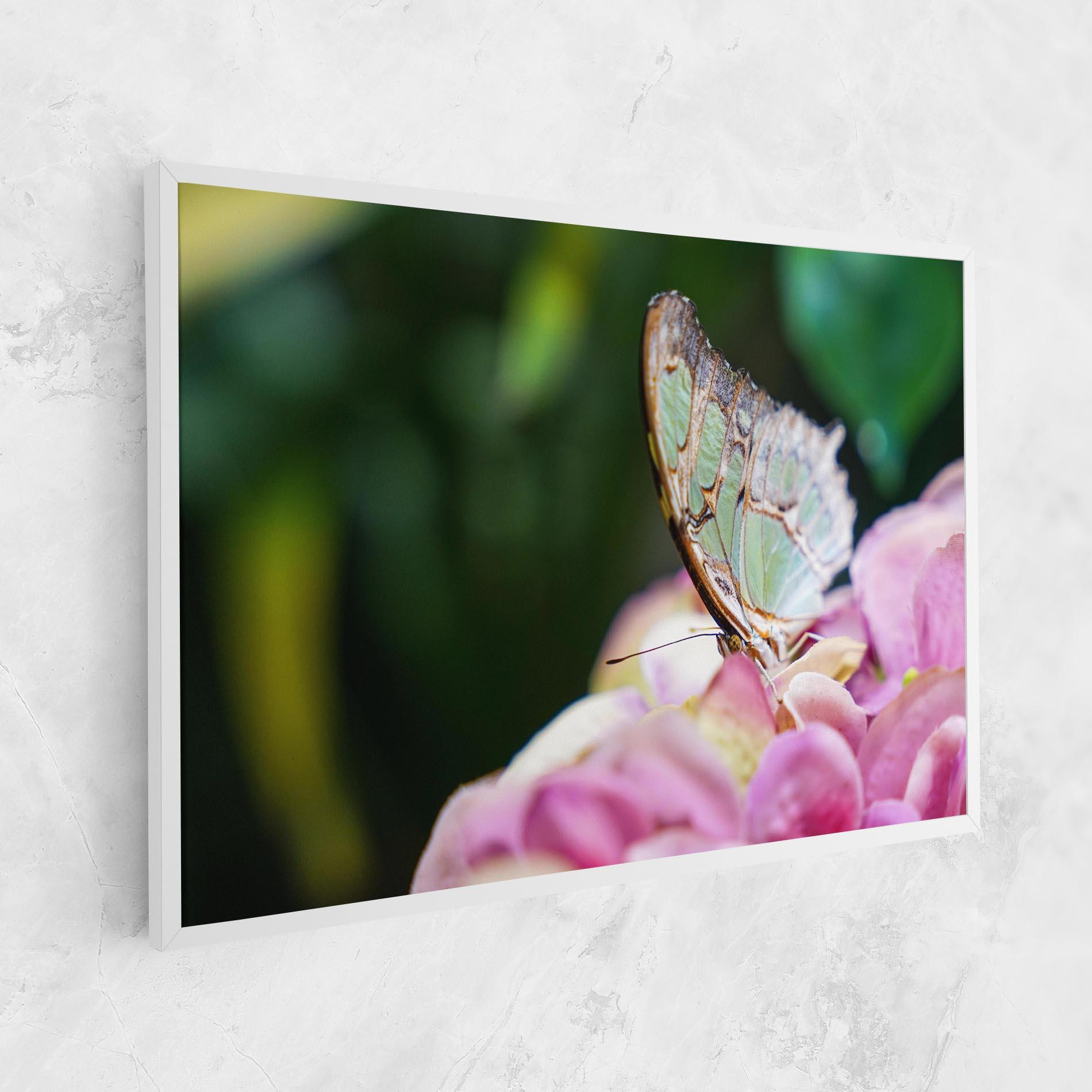 Vászonkép Nazrin Babashova DiUUmQMFWys Unsplash mockup 1