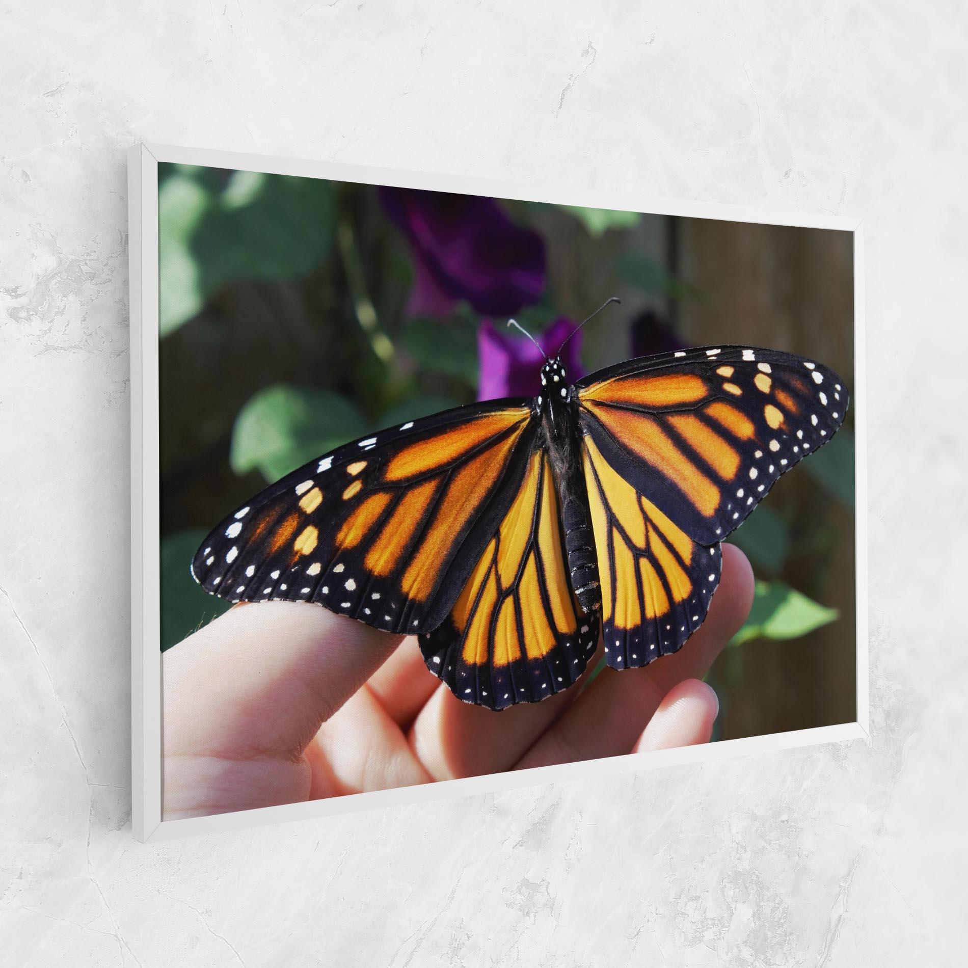 Vászonkép Open Orange Butterfly mockup 1