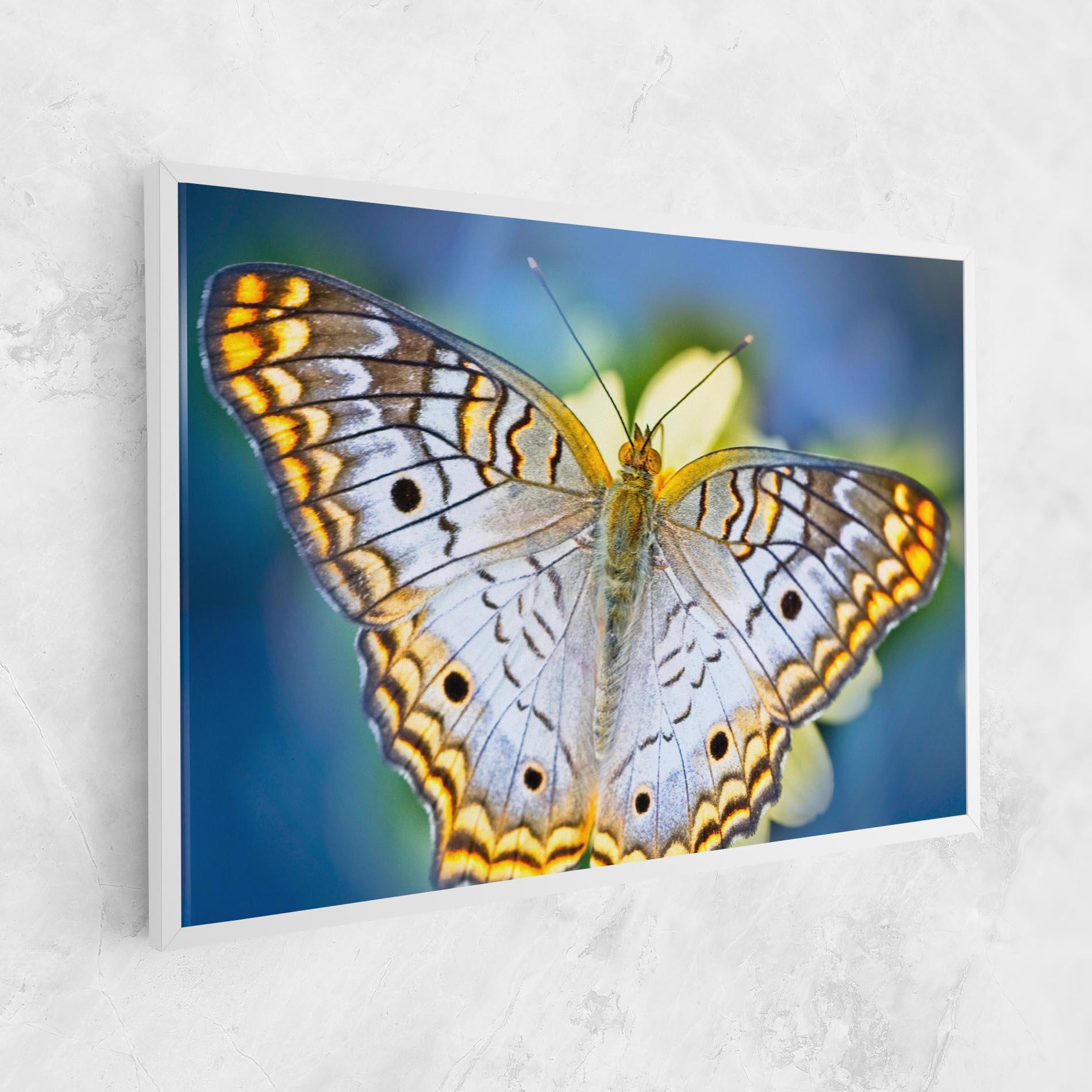 Vászonkép Yellow Grey Butterfly mockup 1