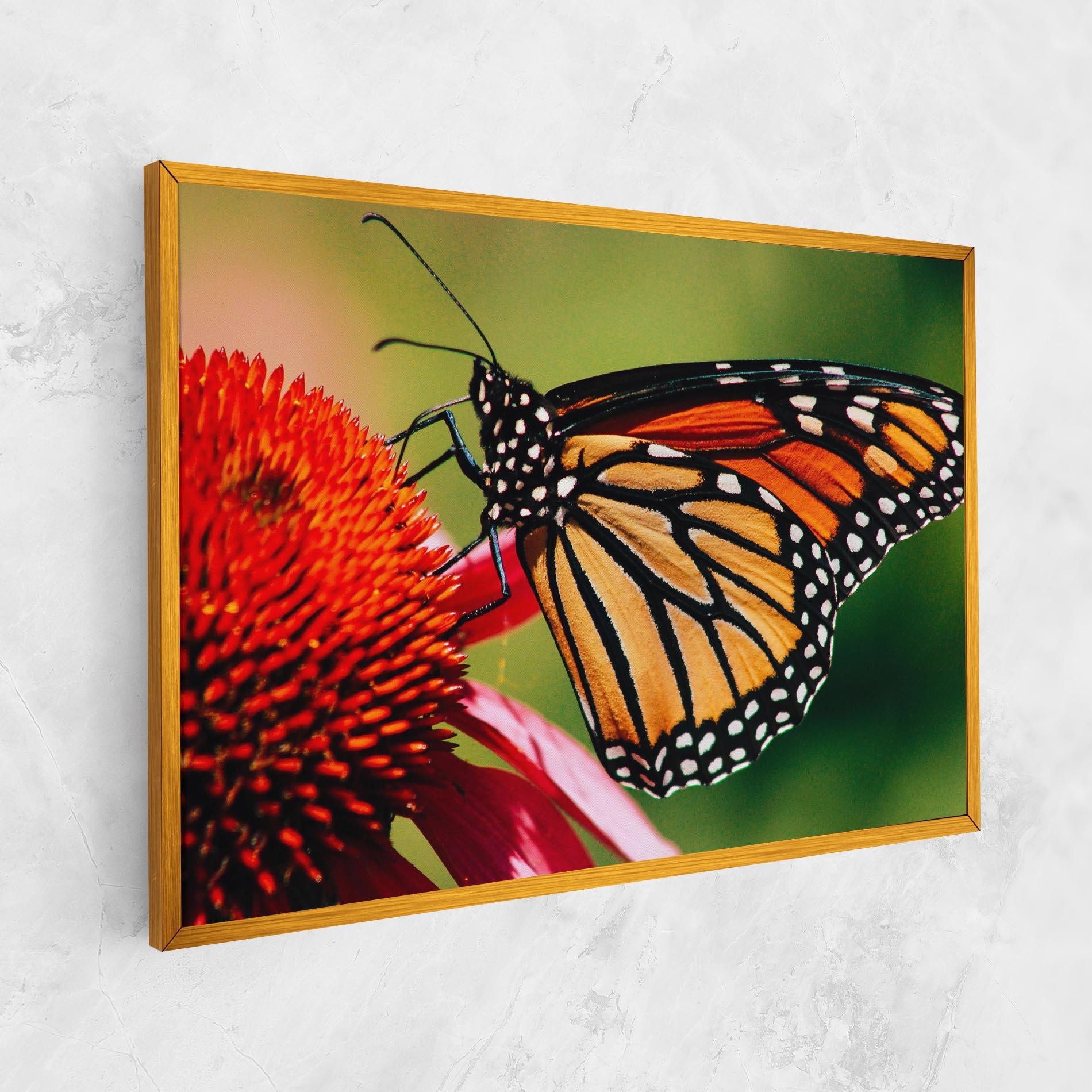 Vászonkép Big Orange Butterfly mockup 1