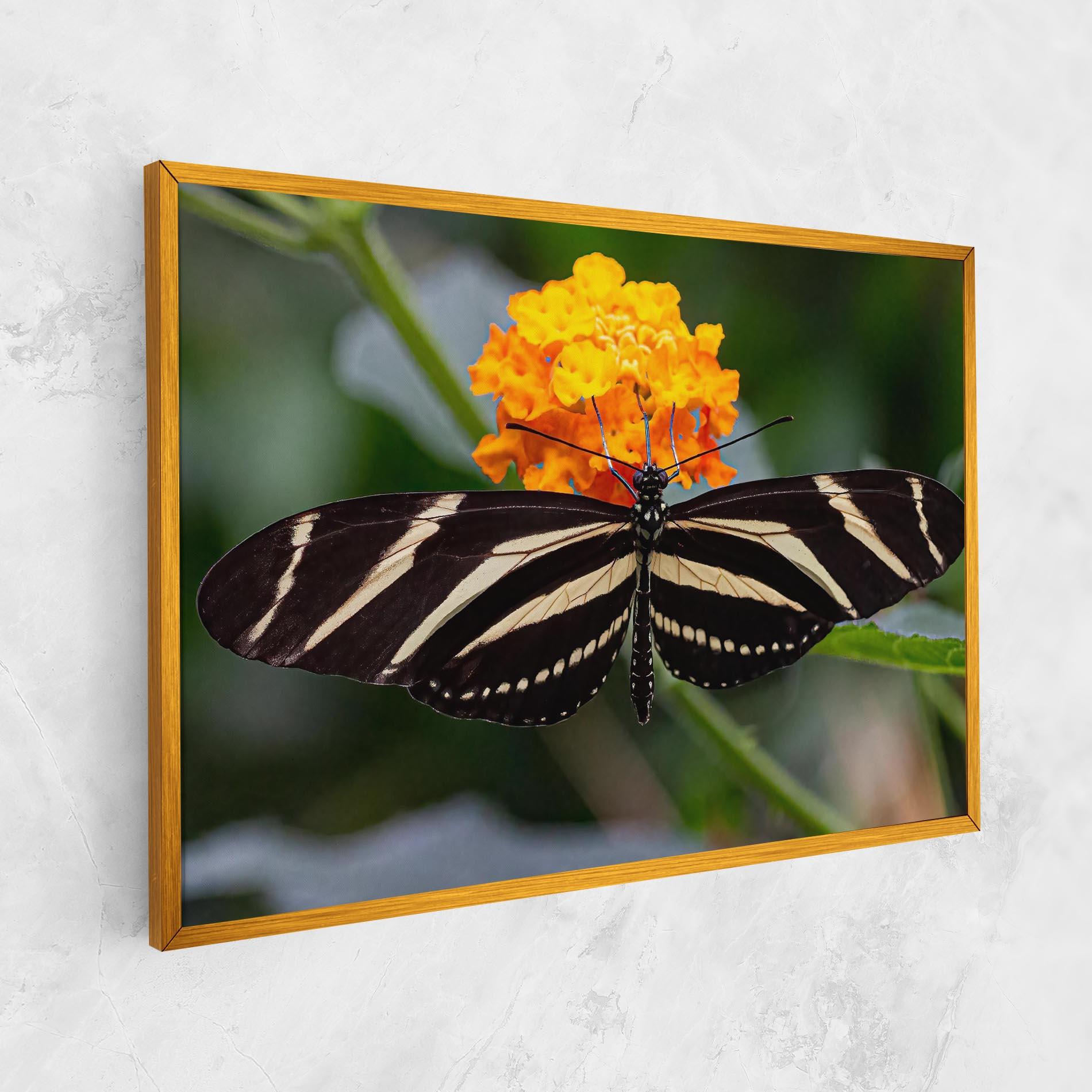 Vászonkép Big Wings Butterfly mockup 1