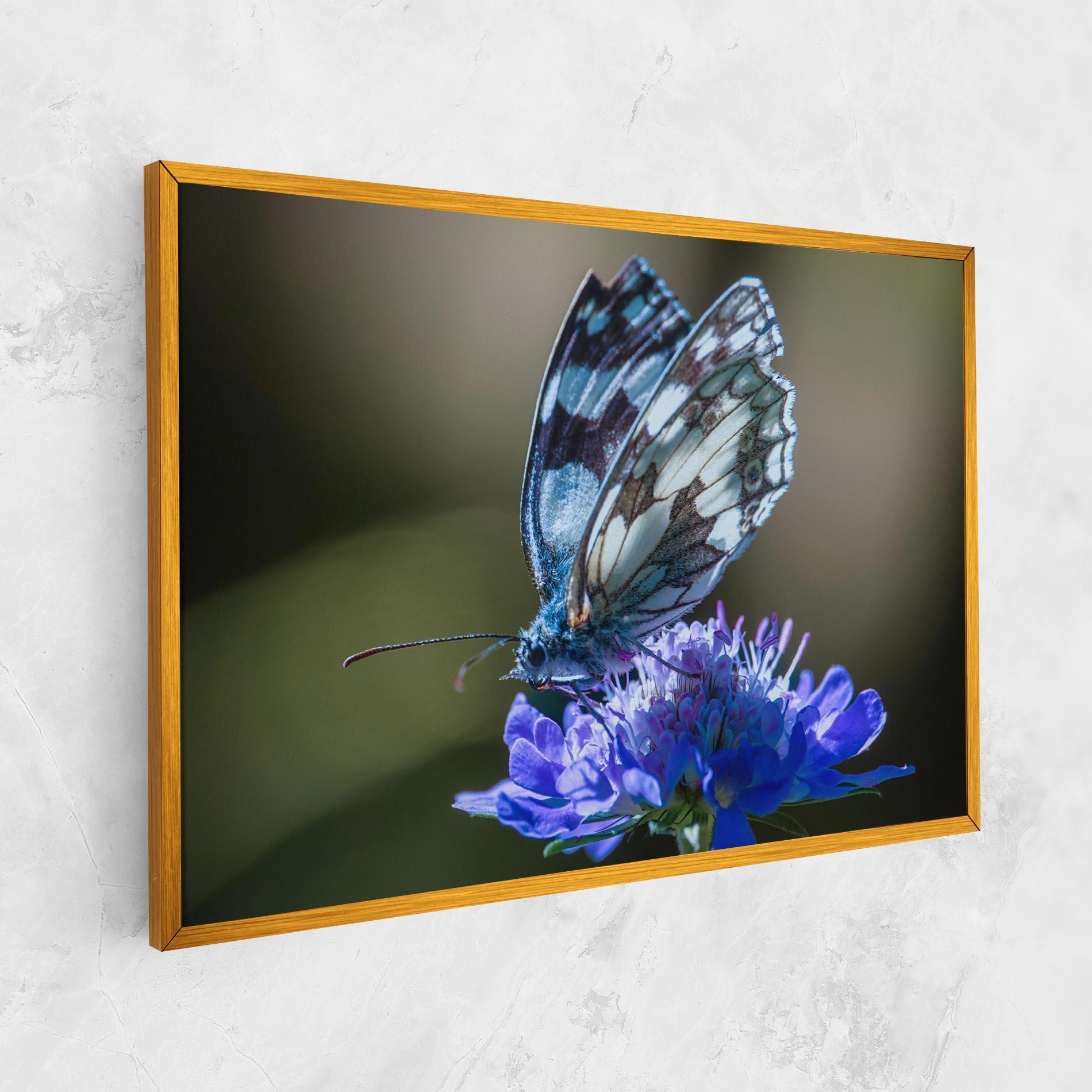 Vászonkép Blue Butterfly In Nature mockup 1