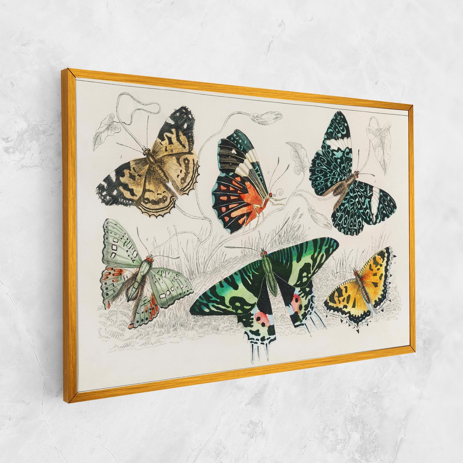 Vászonkép Butterfly Art mockup 1