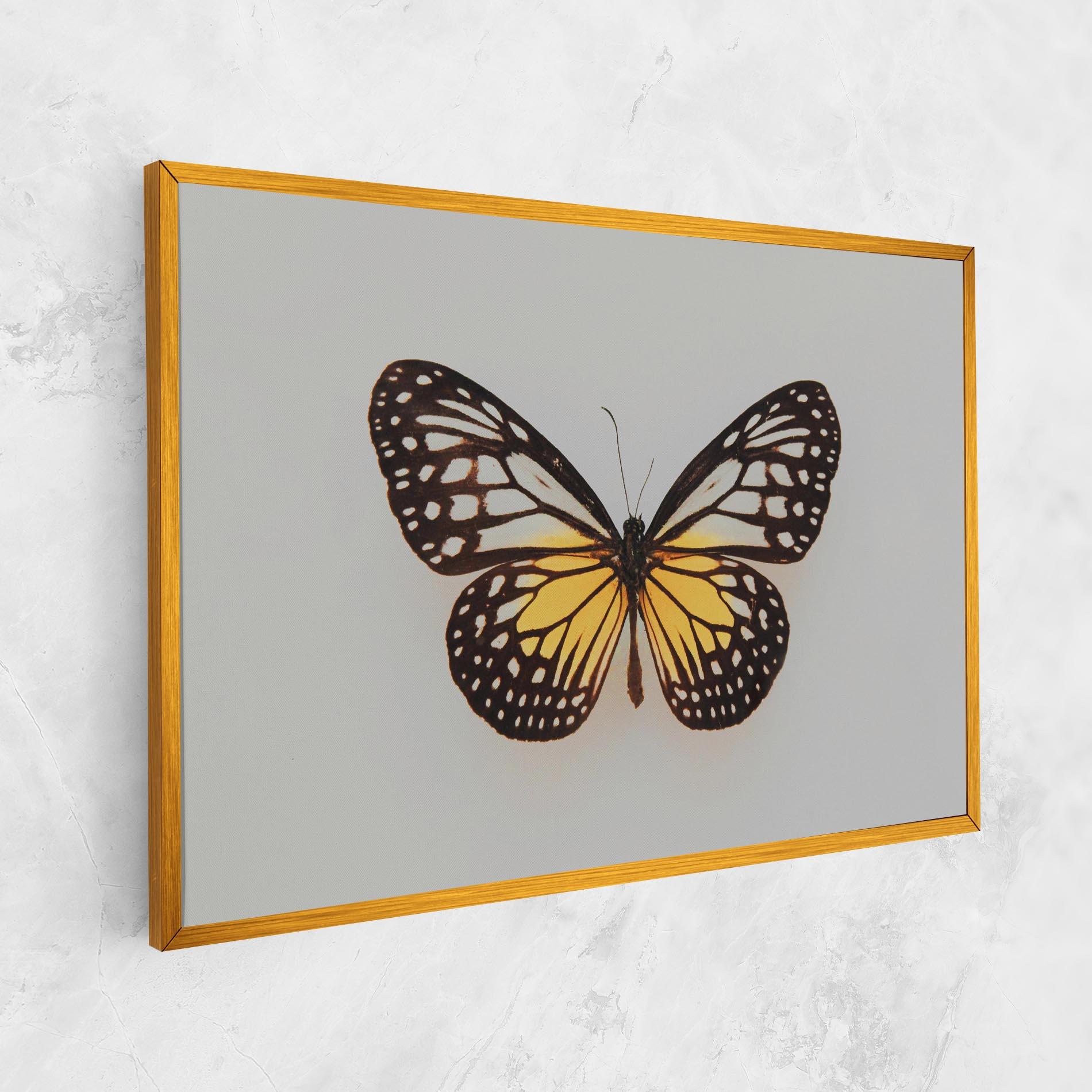 Vászonkép Butterfly On Grey mockup 1