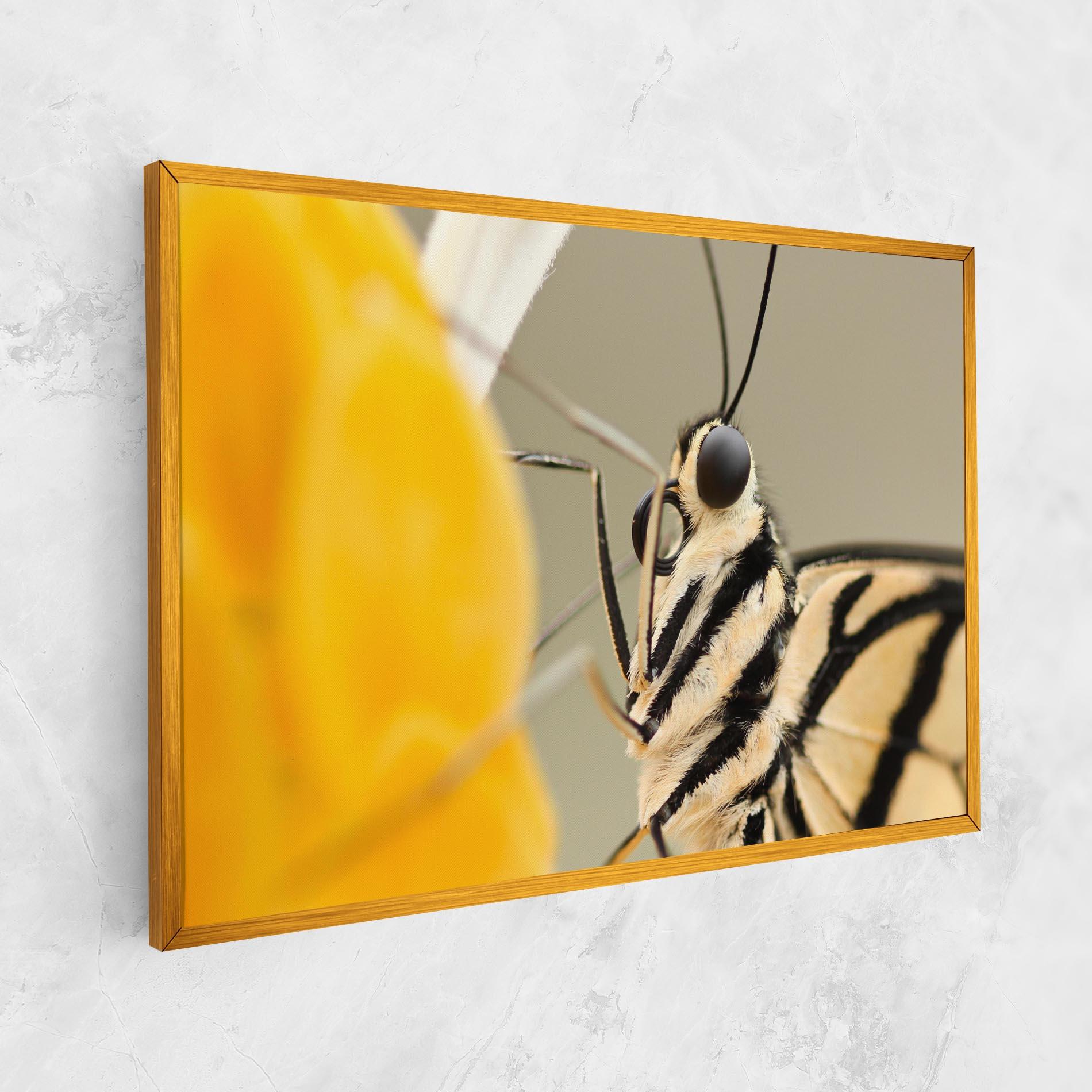 Vászonkép Close Up Cream Butterfly mockup 1