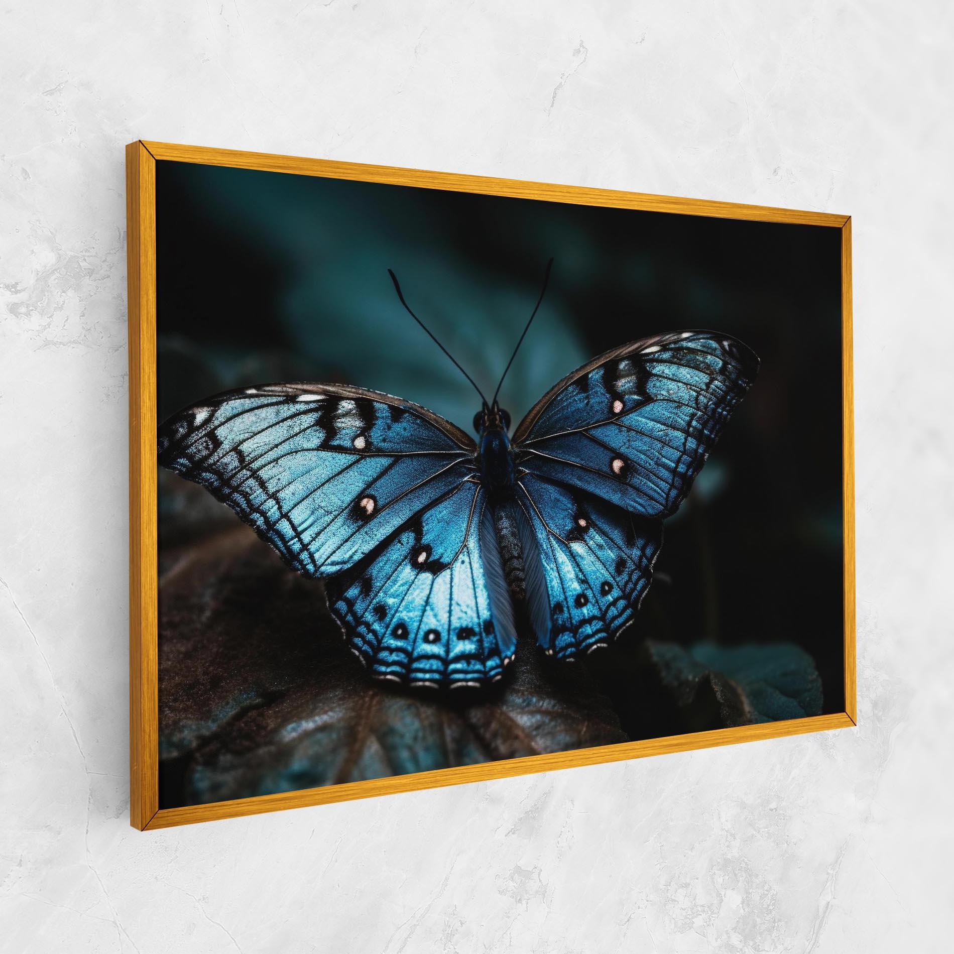 Vászonkép Dark Blue Buterfly mockup 1