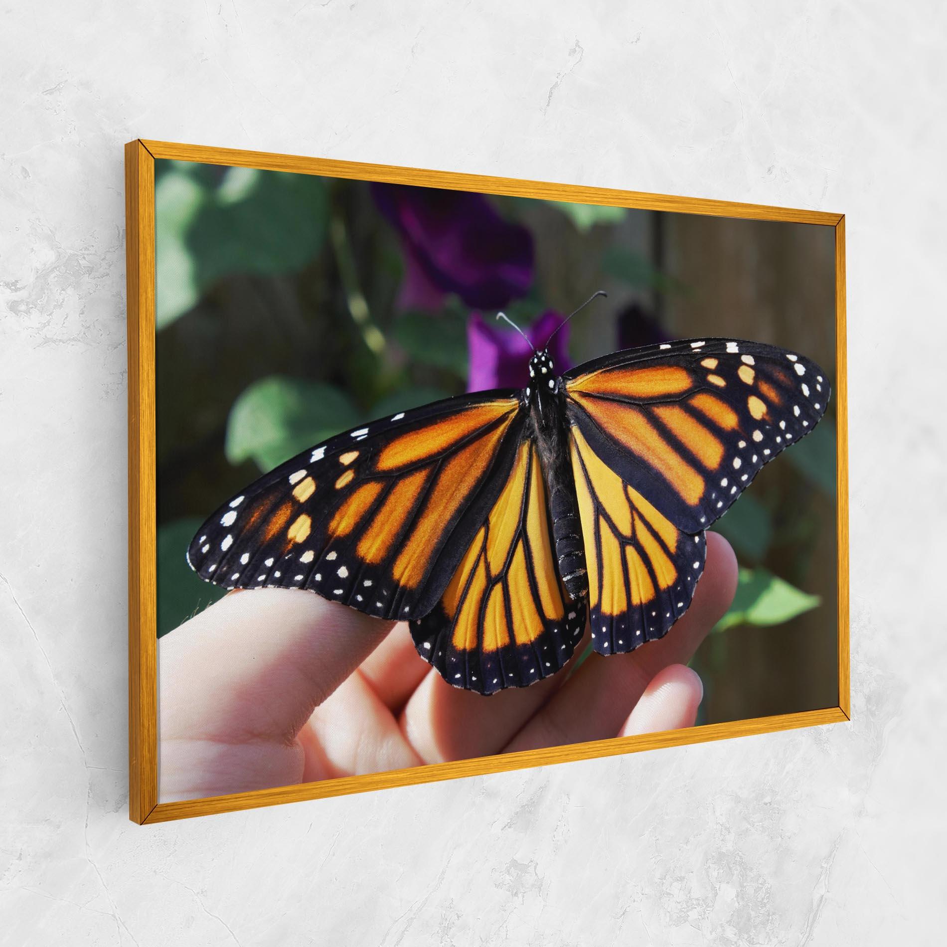 Vászonkép Open Orange Butterfly mockup 1
