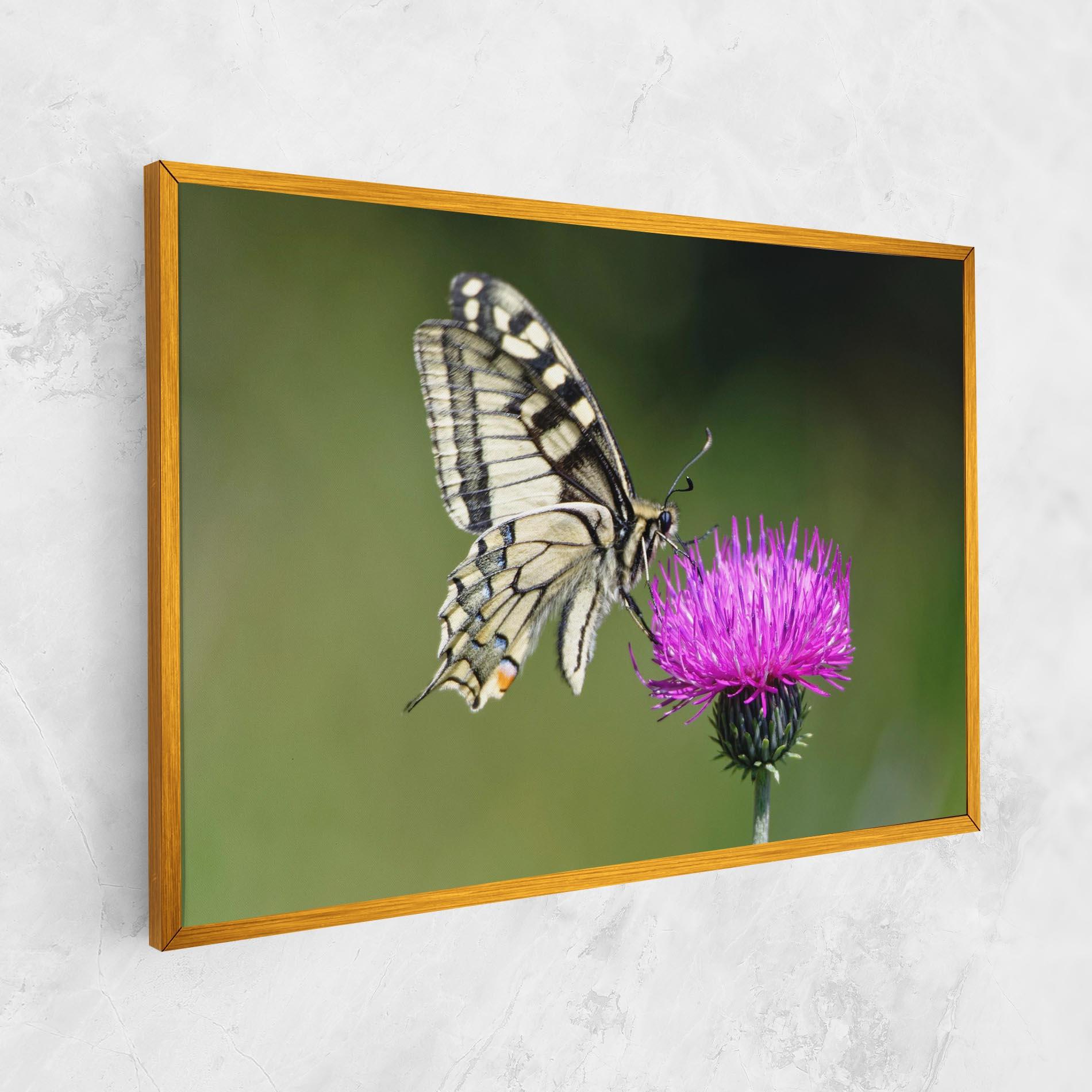 Vászonkép White Butterfly Pollen mockup 1