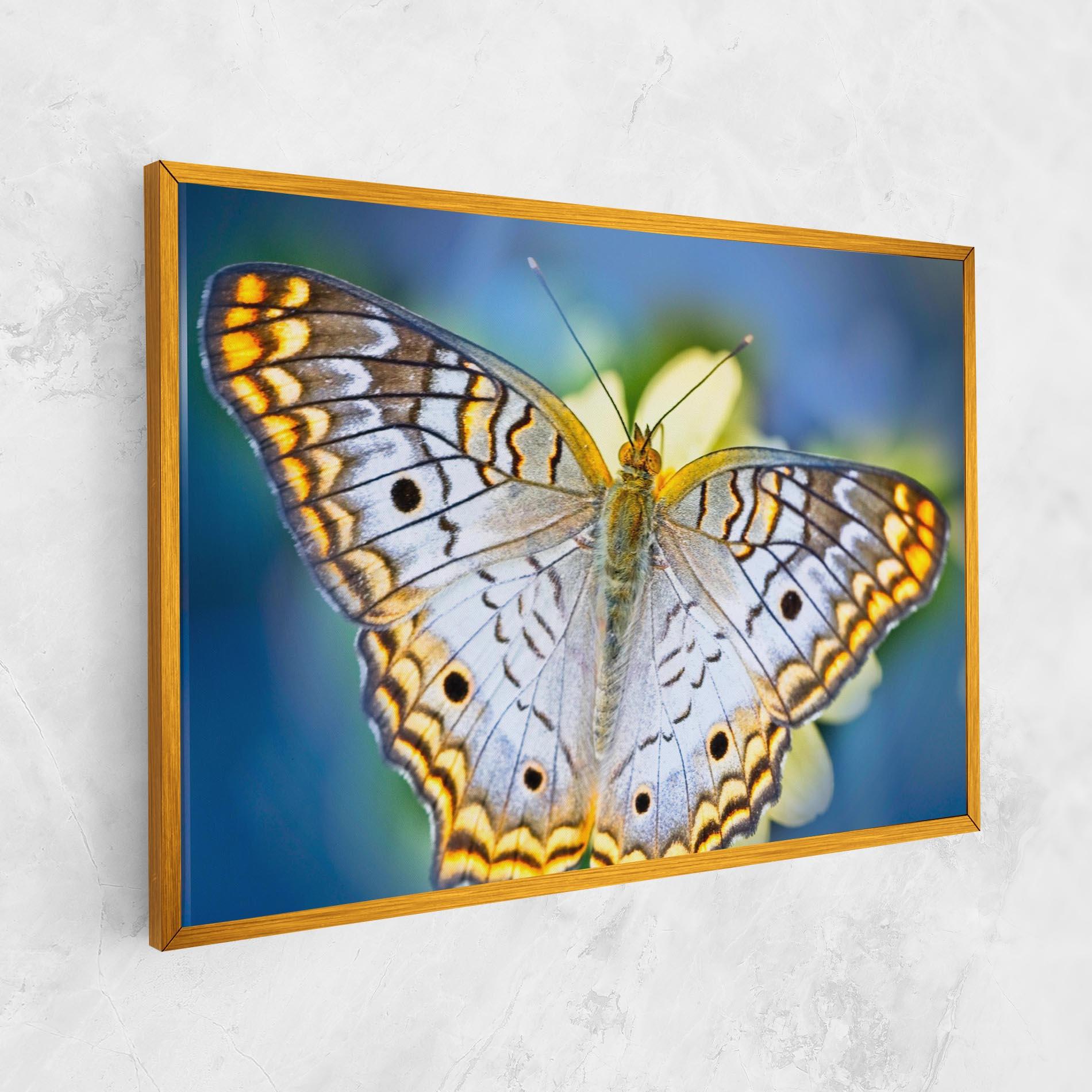 Vászonkép Yellow Grey Butterfly mockup 1