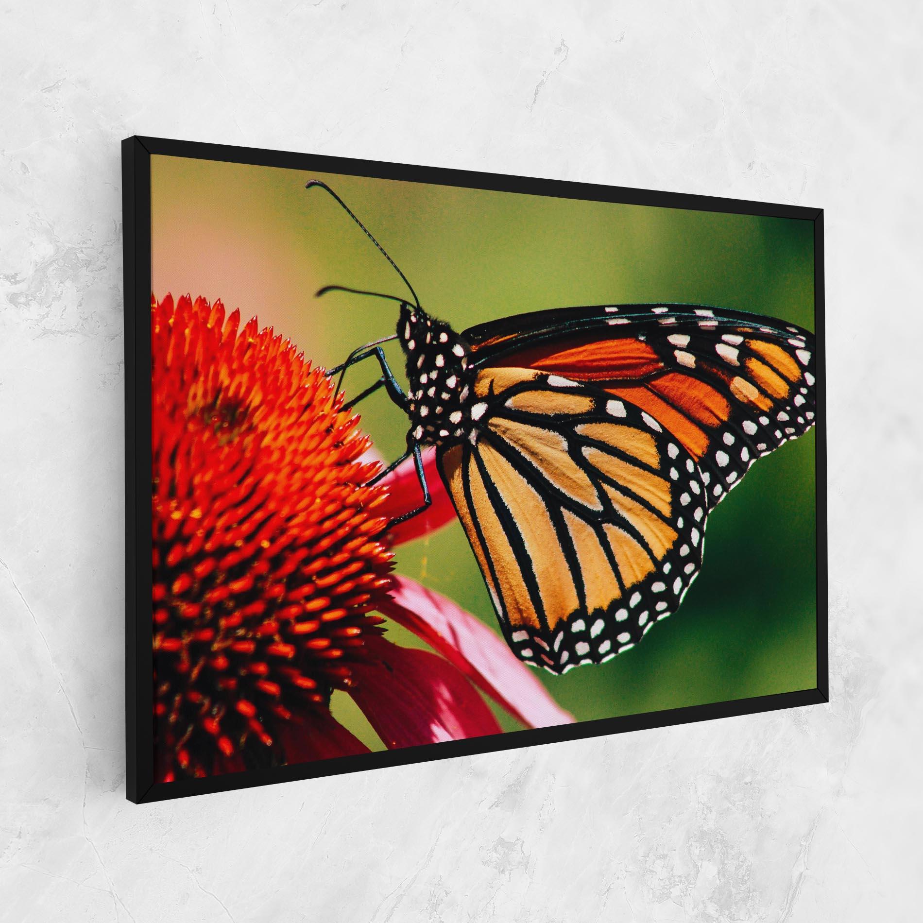Vászonkép Big Orange Butterfly mockup 1