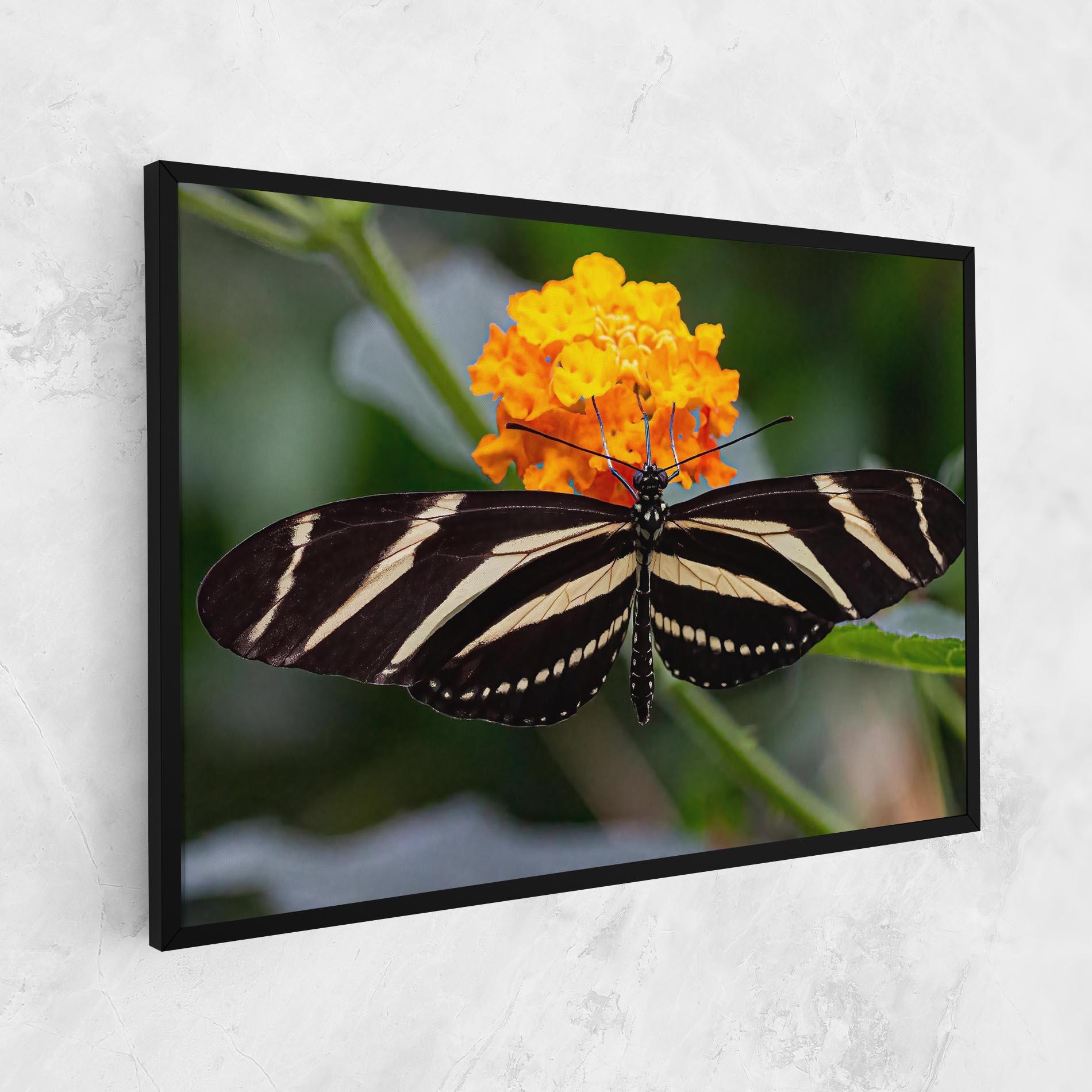 Vászonkép Big Wings Butterfly mockup 1