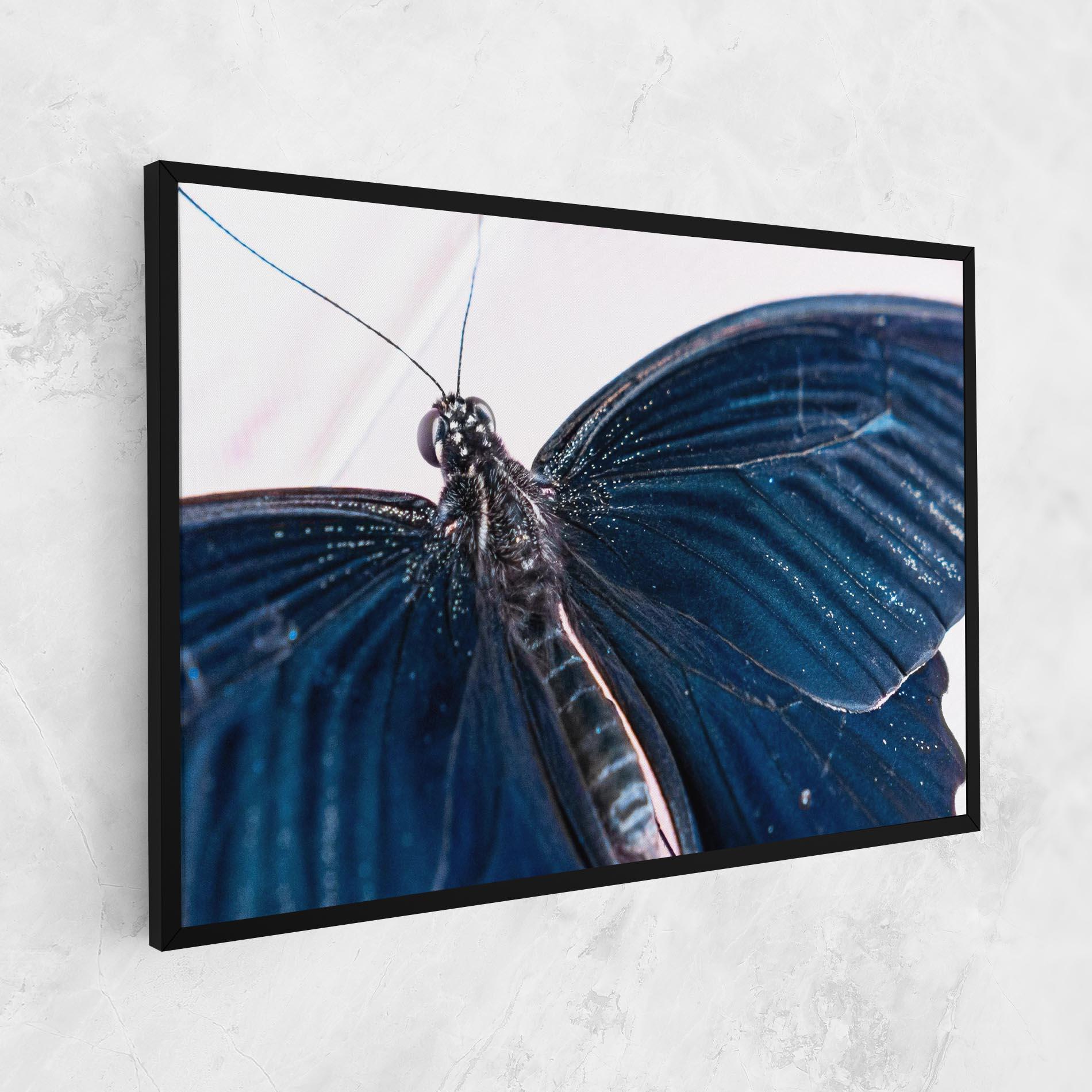 Vászonkép Blue Butterfly mockup 1