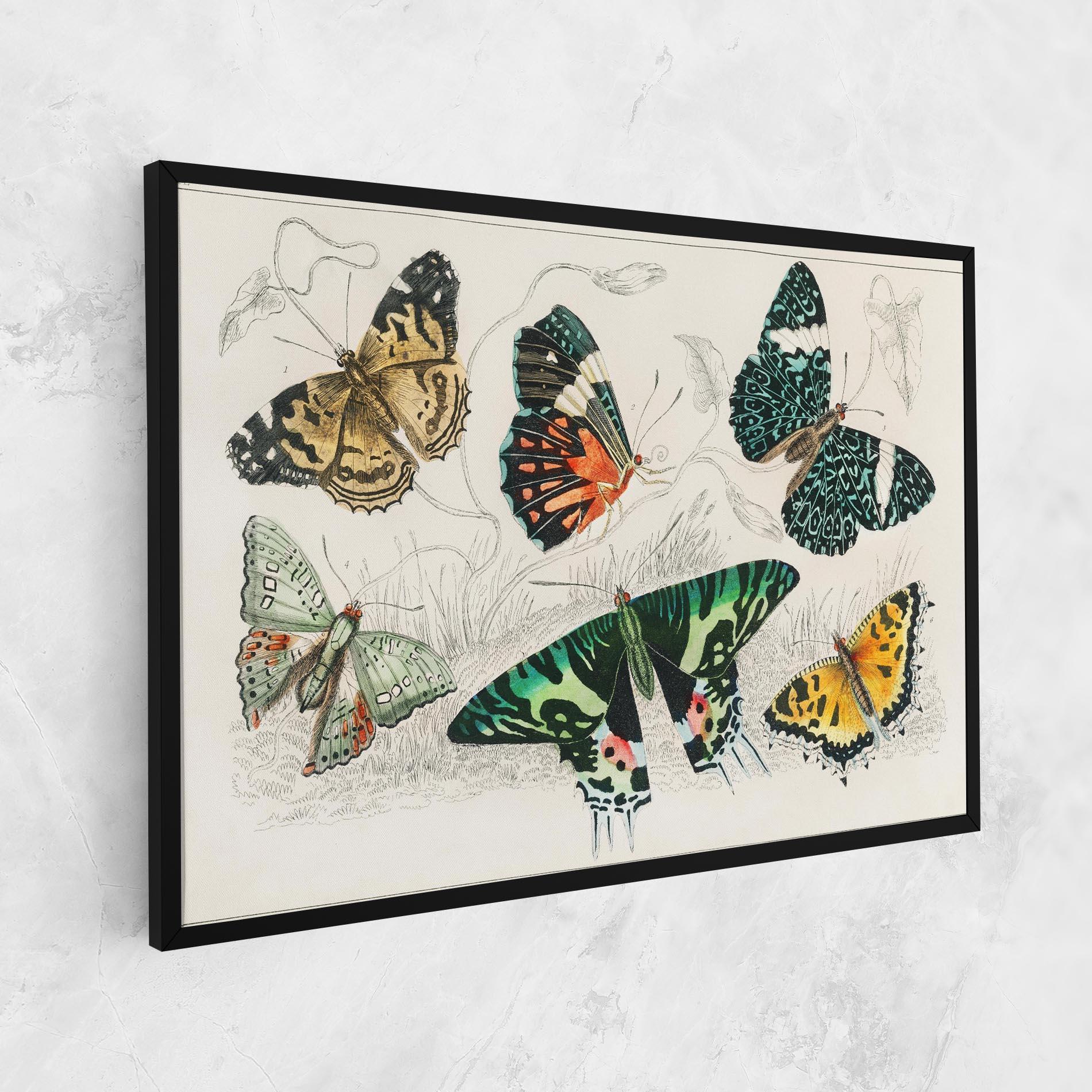 Vászonkép Butterfly Art mockup 1