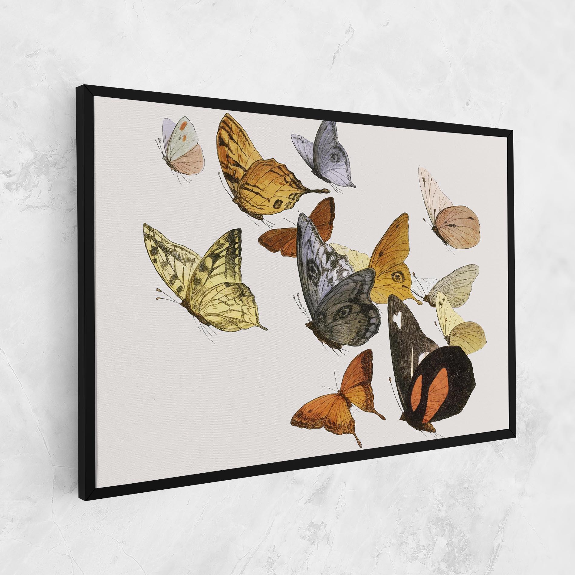 Vászonkép Butterfly Floating mockup 1