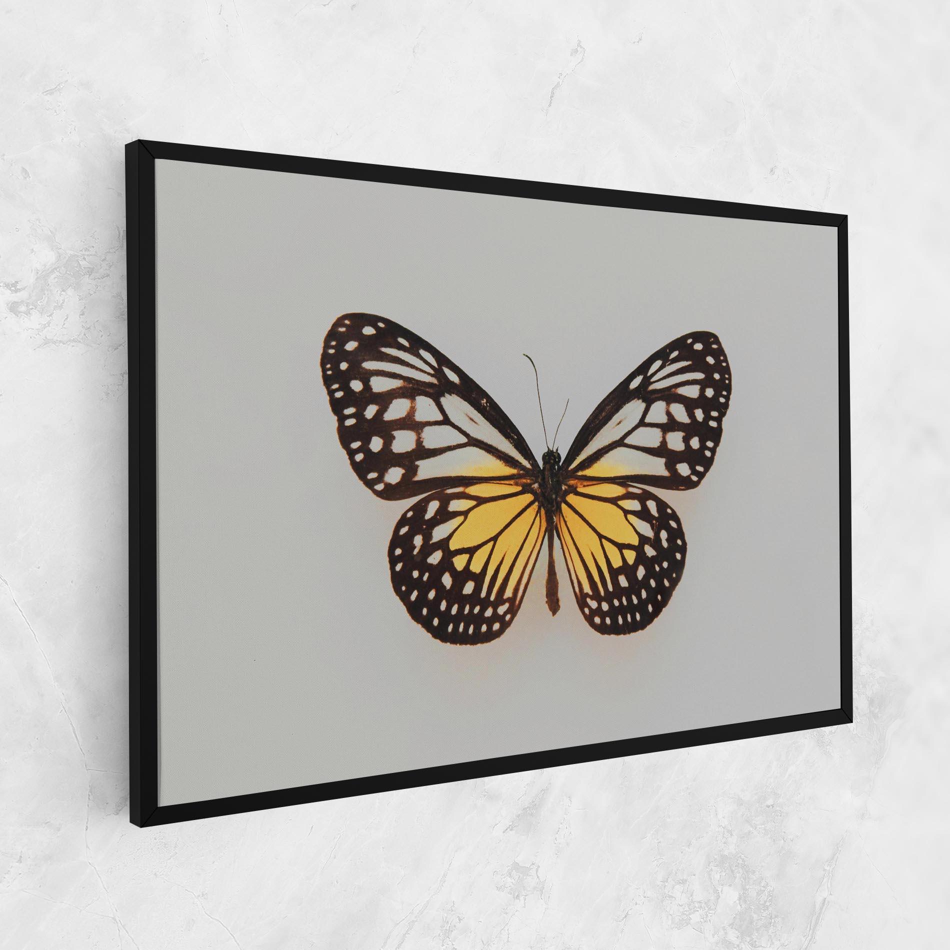 Vászonkép Butterfly On Grey mockup 1
