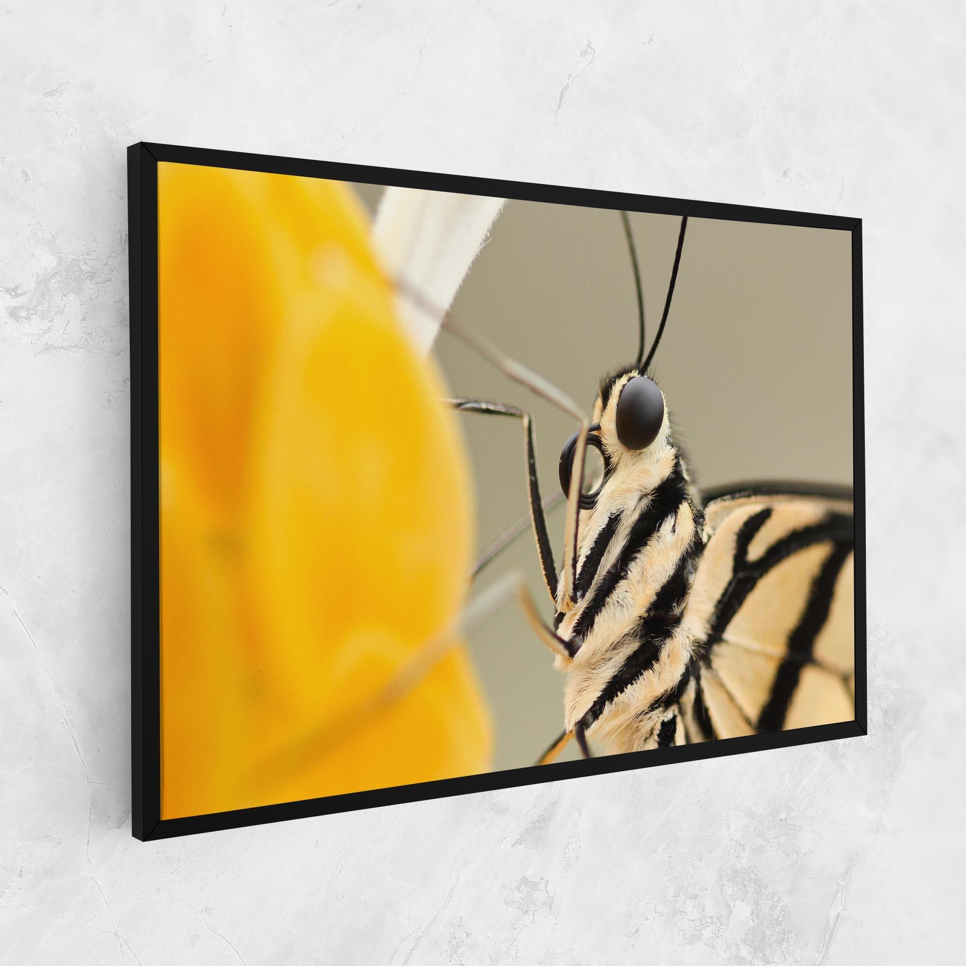 Vászonkép Close Up Cream Butterfly mockup 1