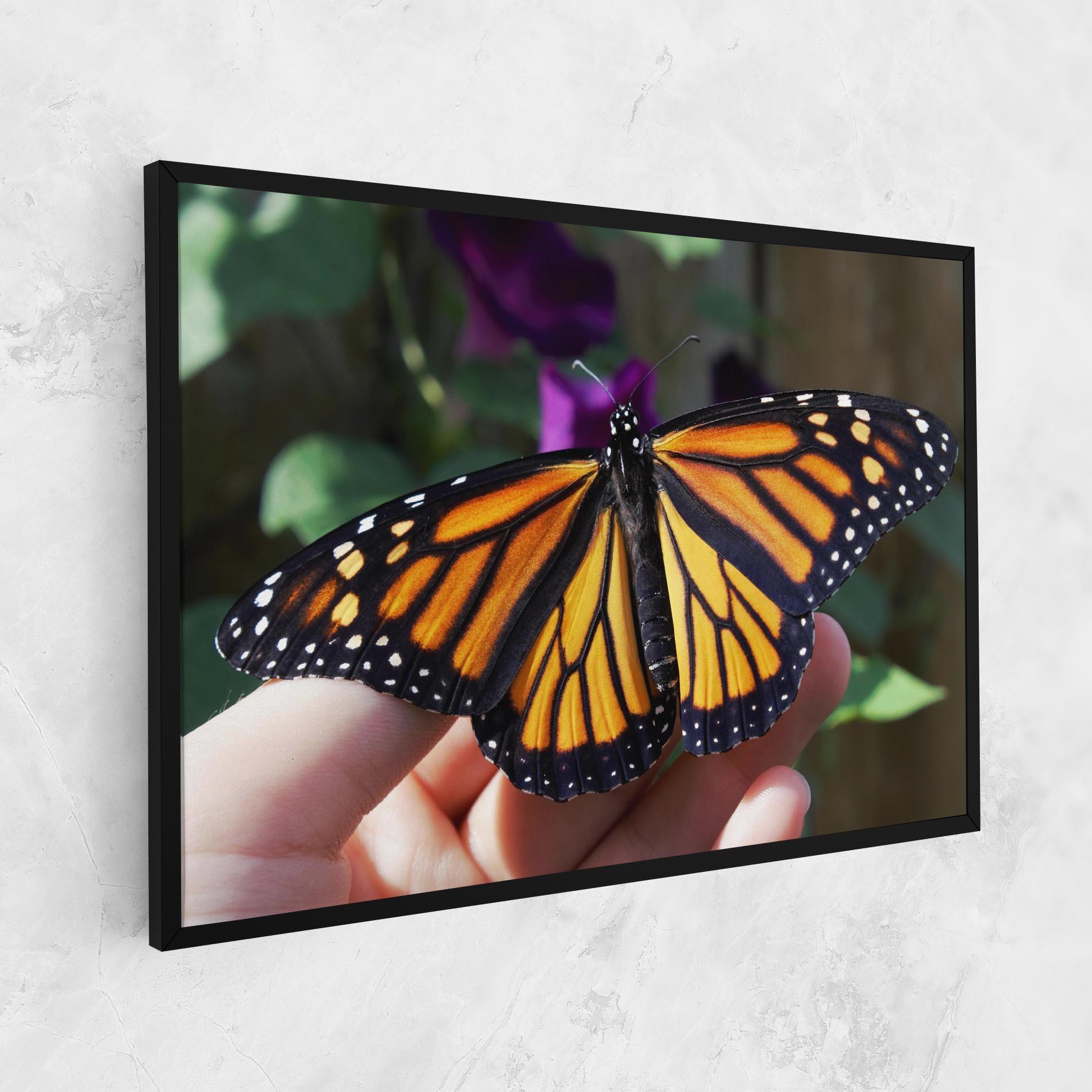 Vászonkép Open Orange Butterfly mockup 1