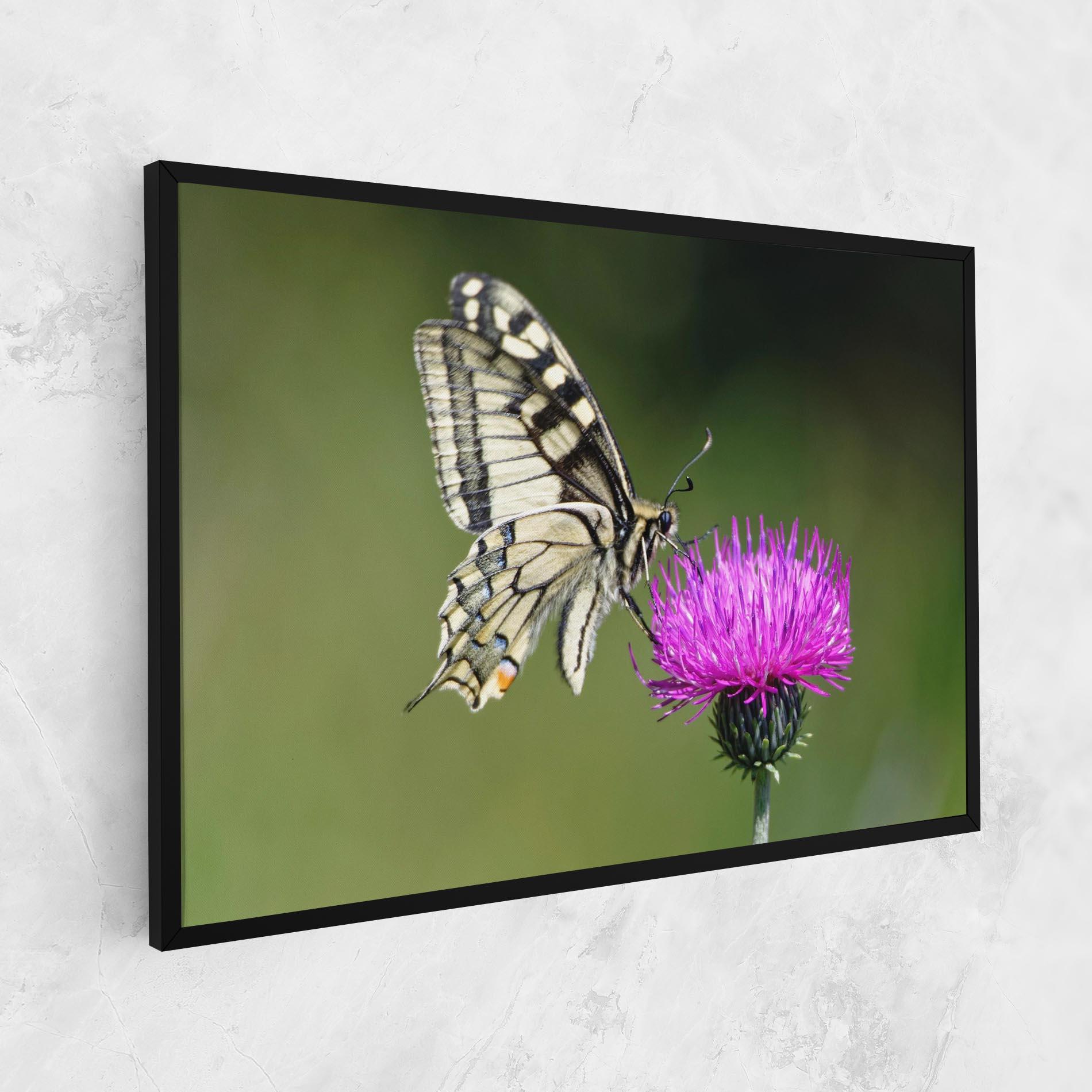 Vászonkép White Butterfly Pollen mockup 1