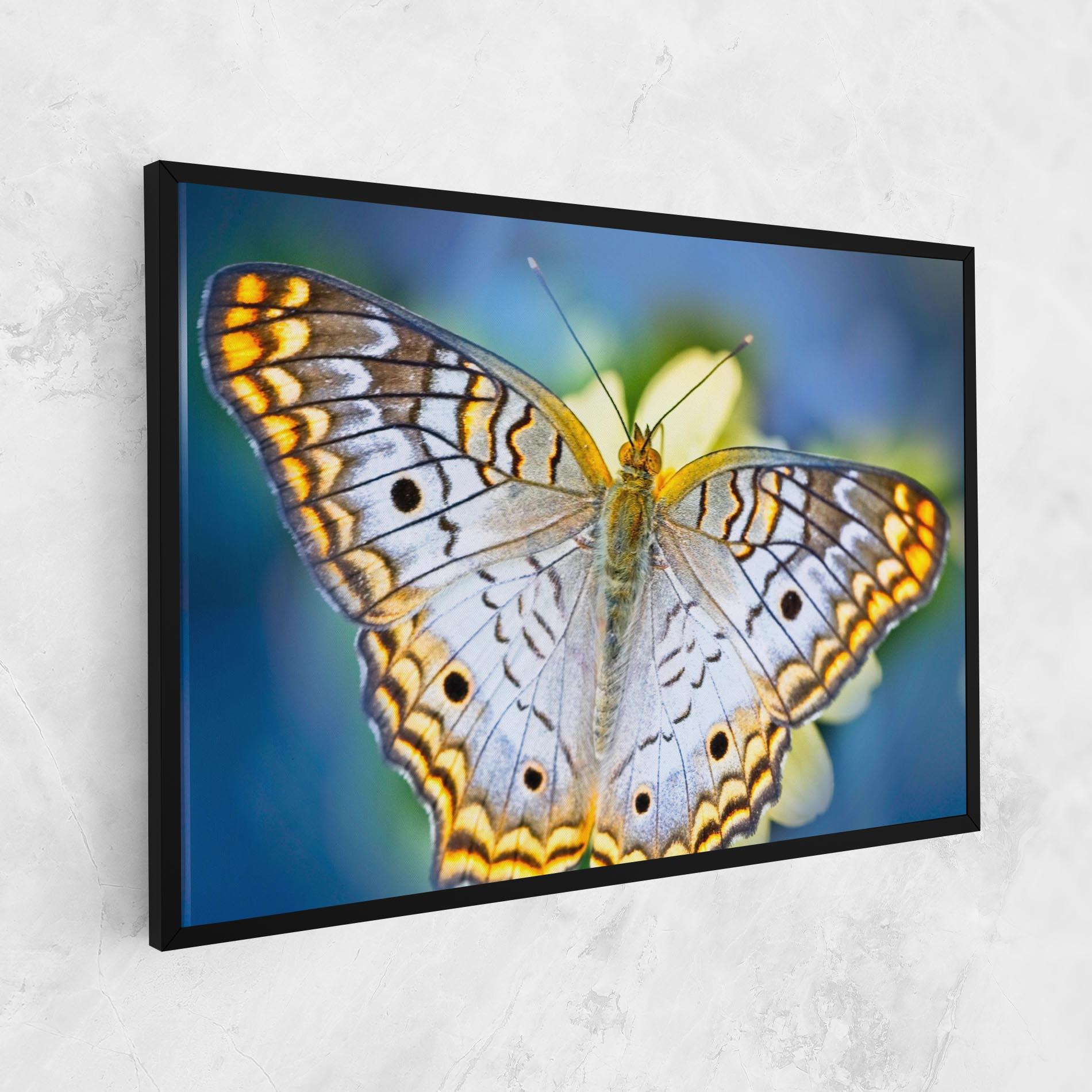 Vászonkép Yellow Grey Butterfly mockup 1