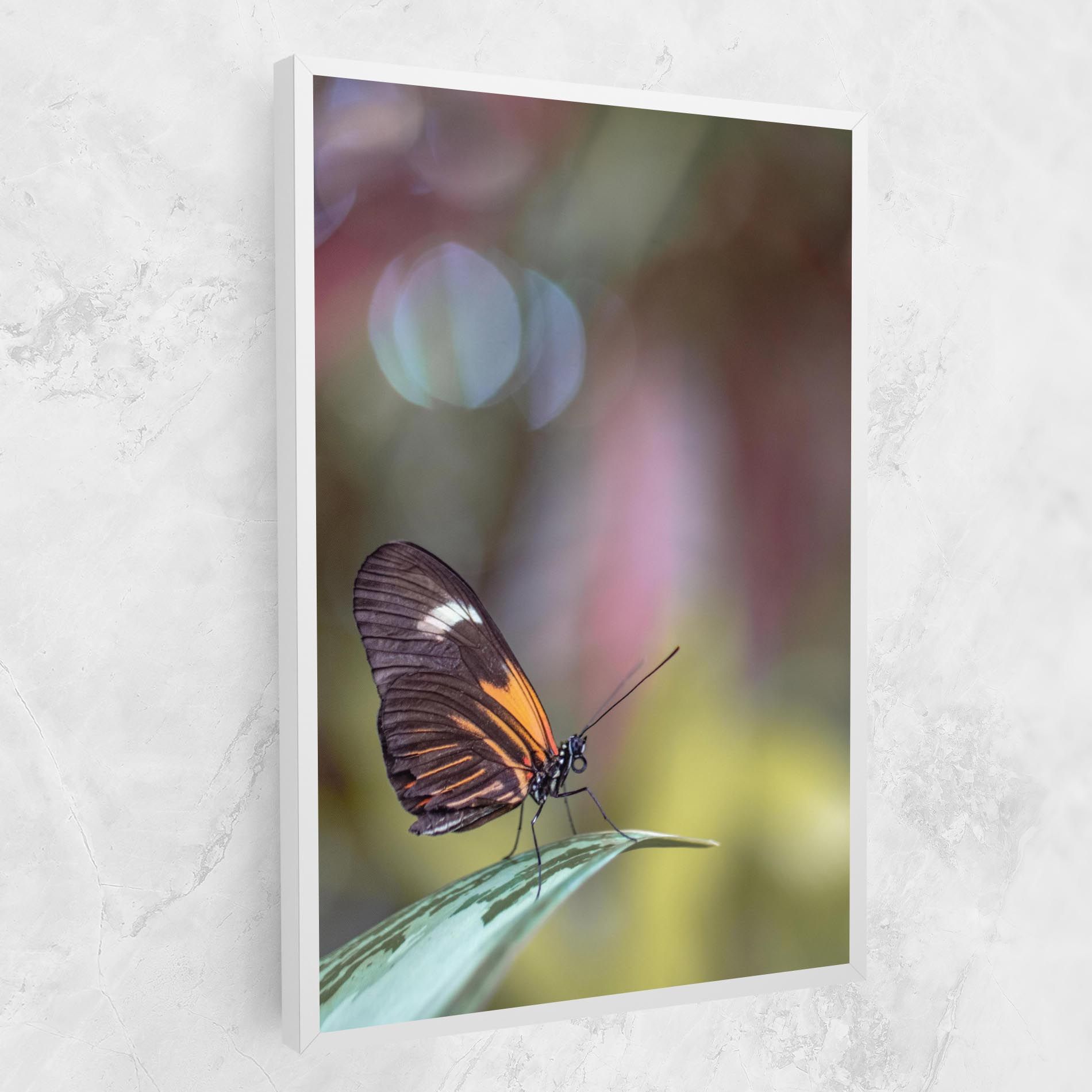 Dark Purple Butterfly mockup 1