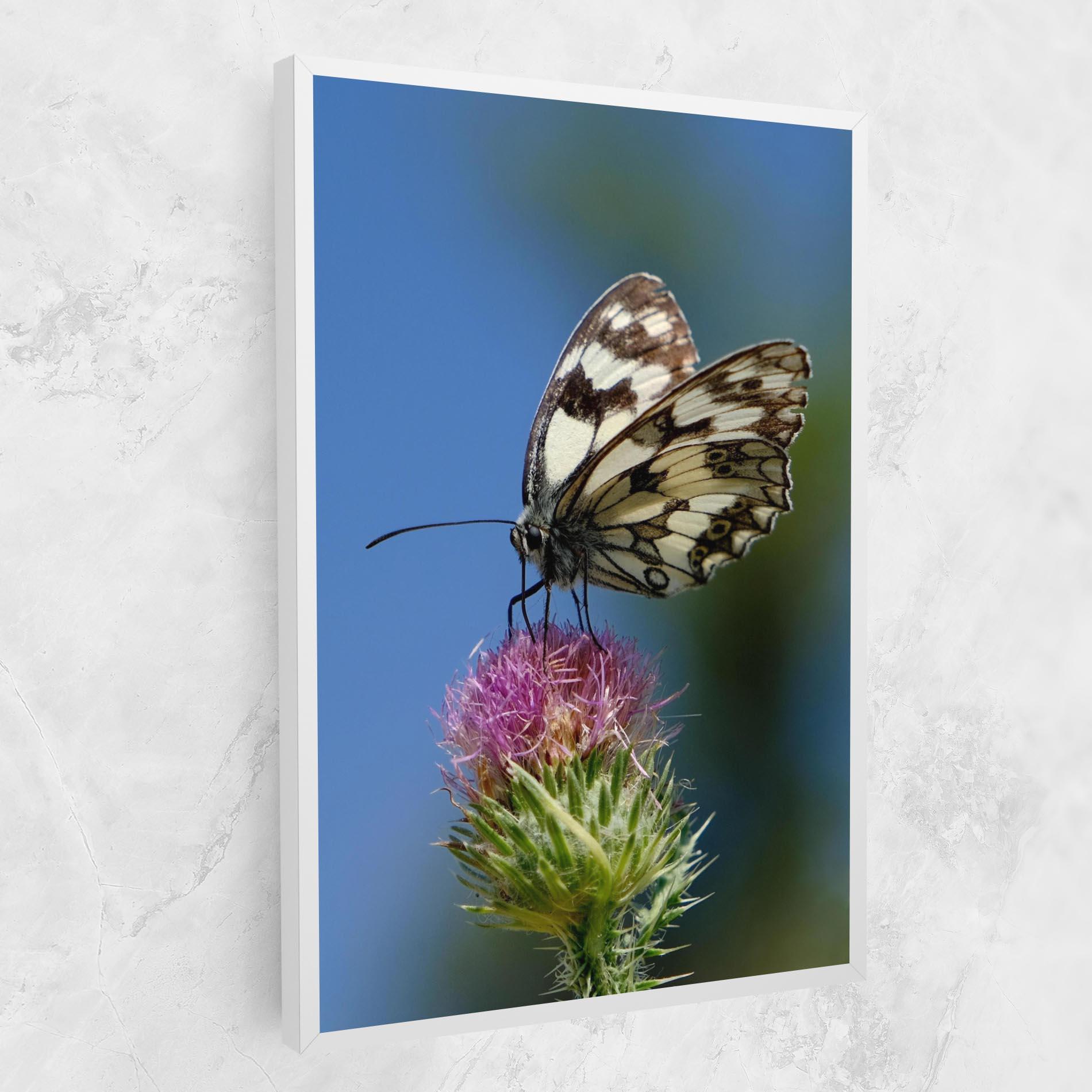Vászonkép Grey White Butterfly mockup 1