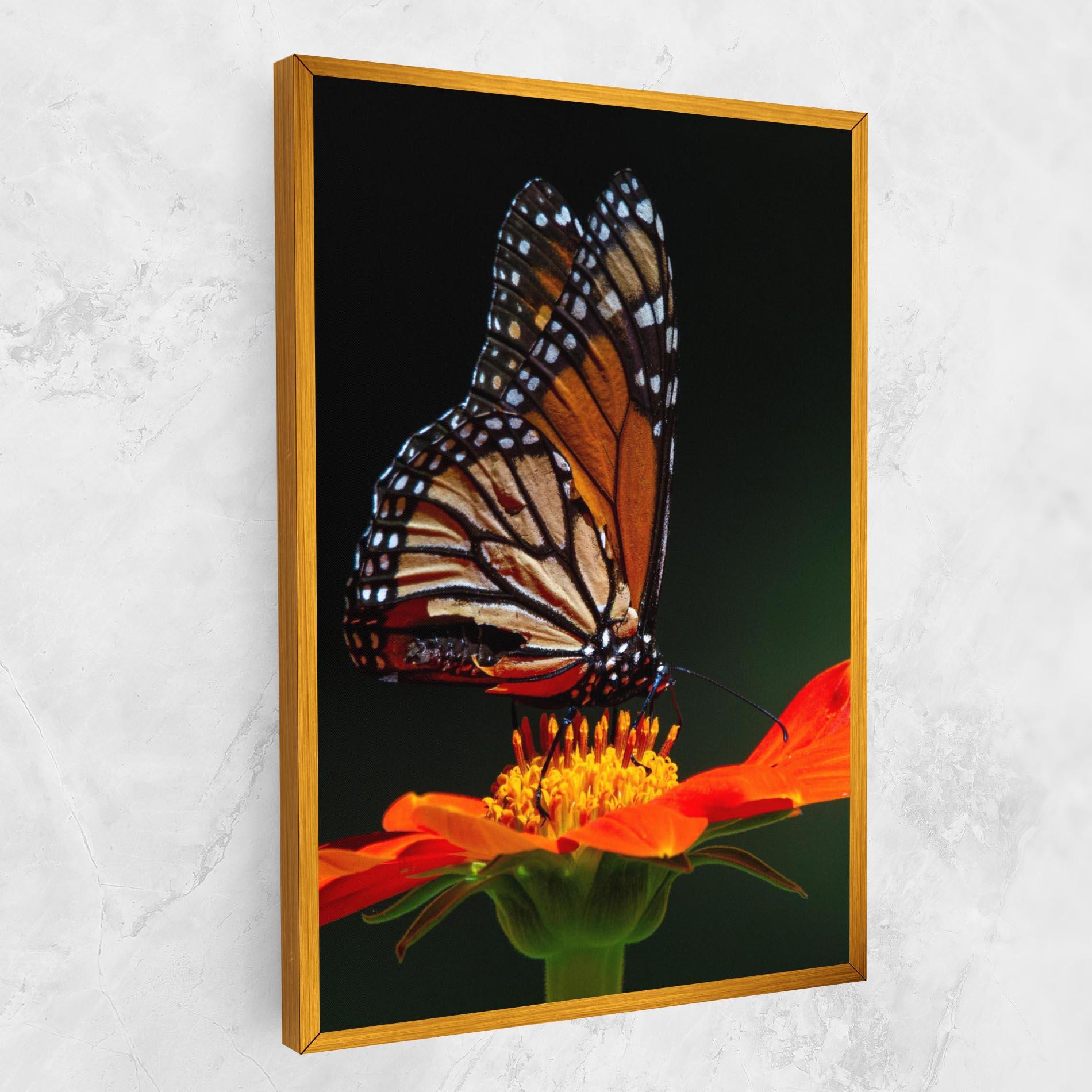 Vászonkép Dark Orange Butterfy mockup 1