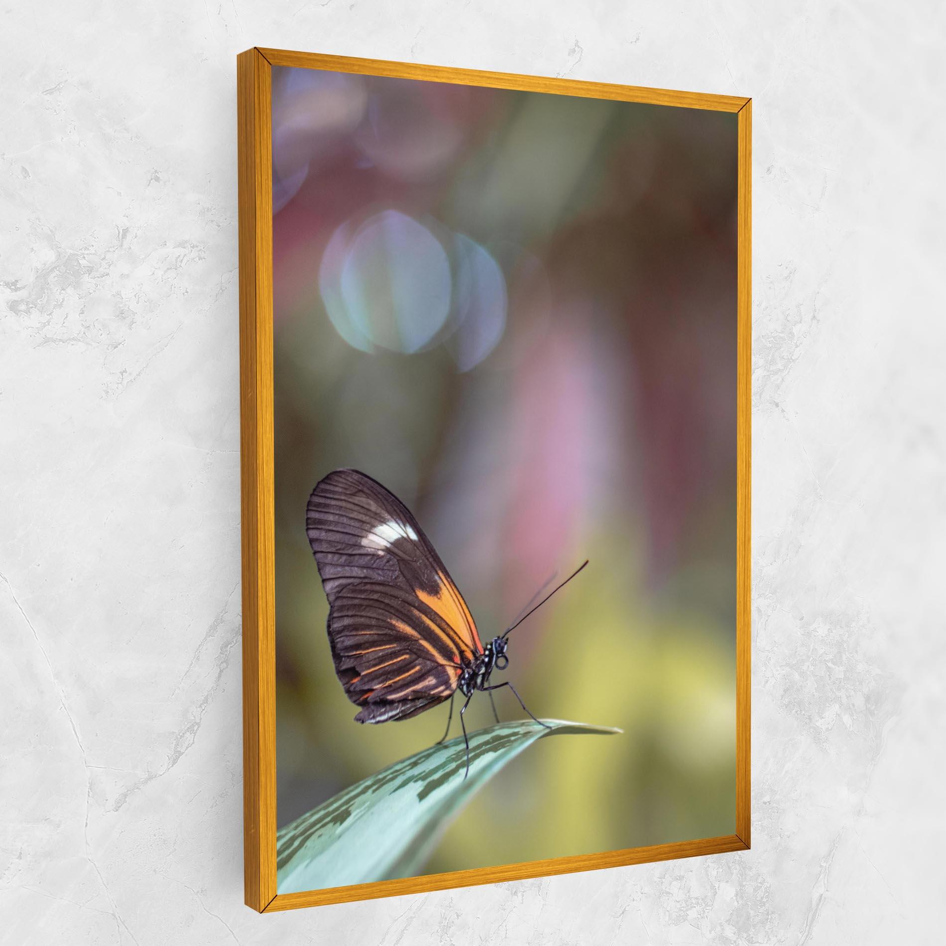 Vászonkép Dark Purple Butterfly mockup 1