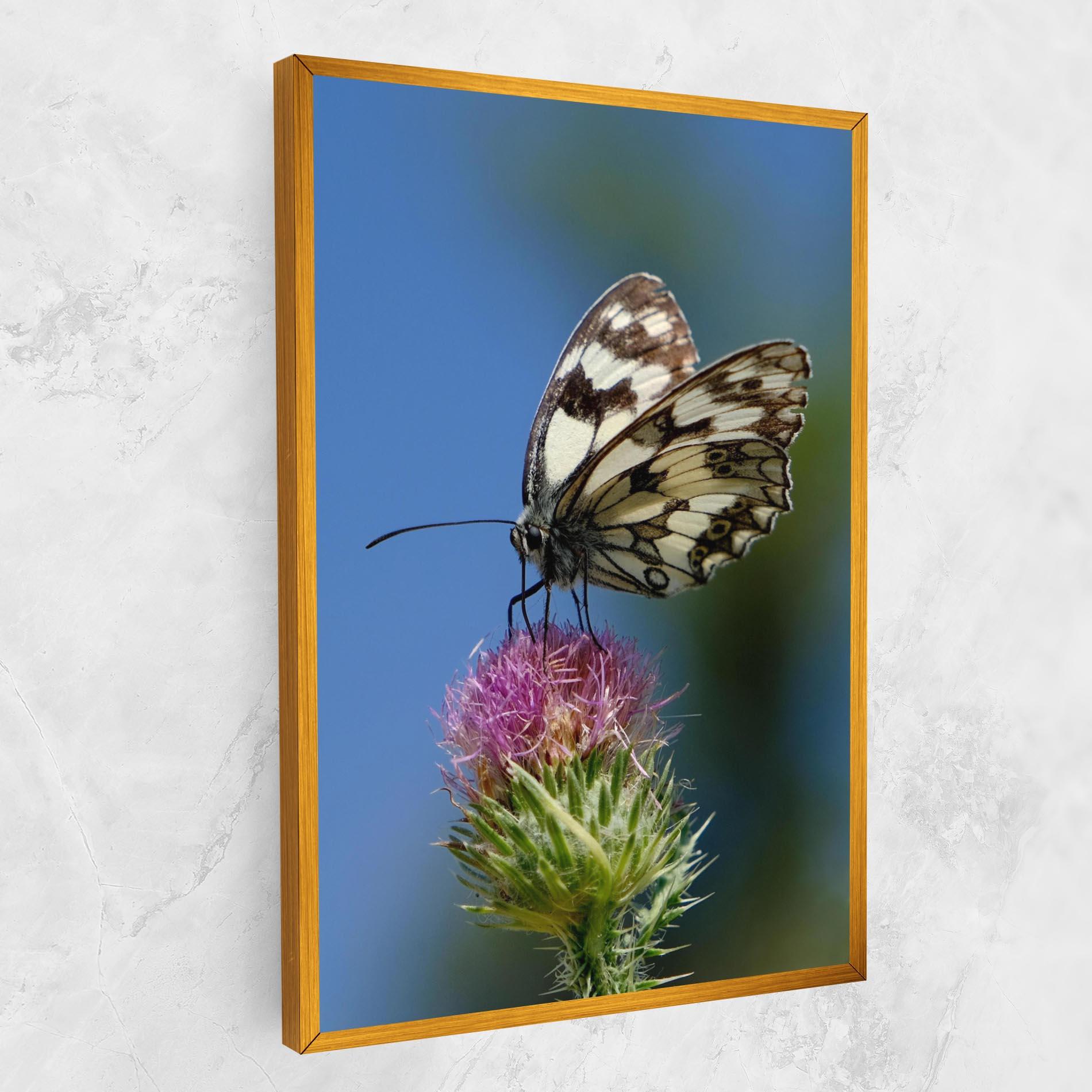 Vászonkép Grey White Butterfly mockup 1